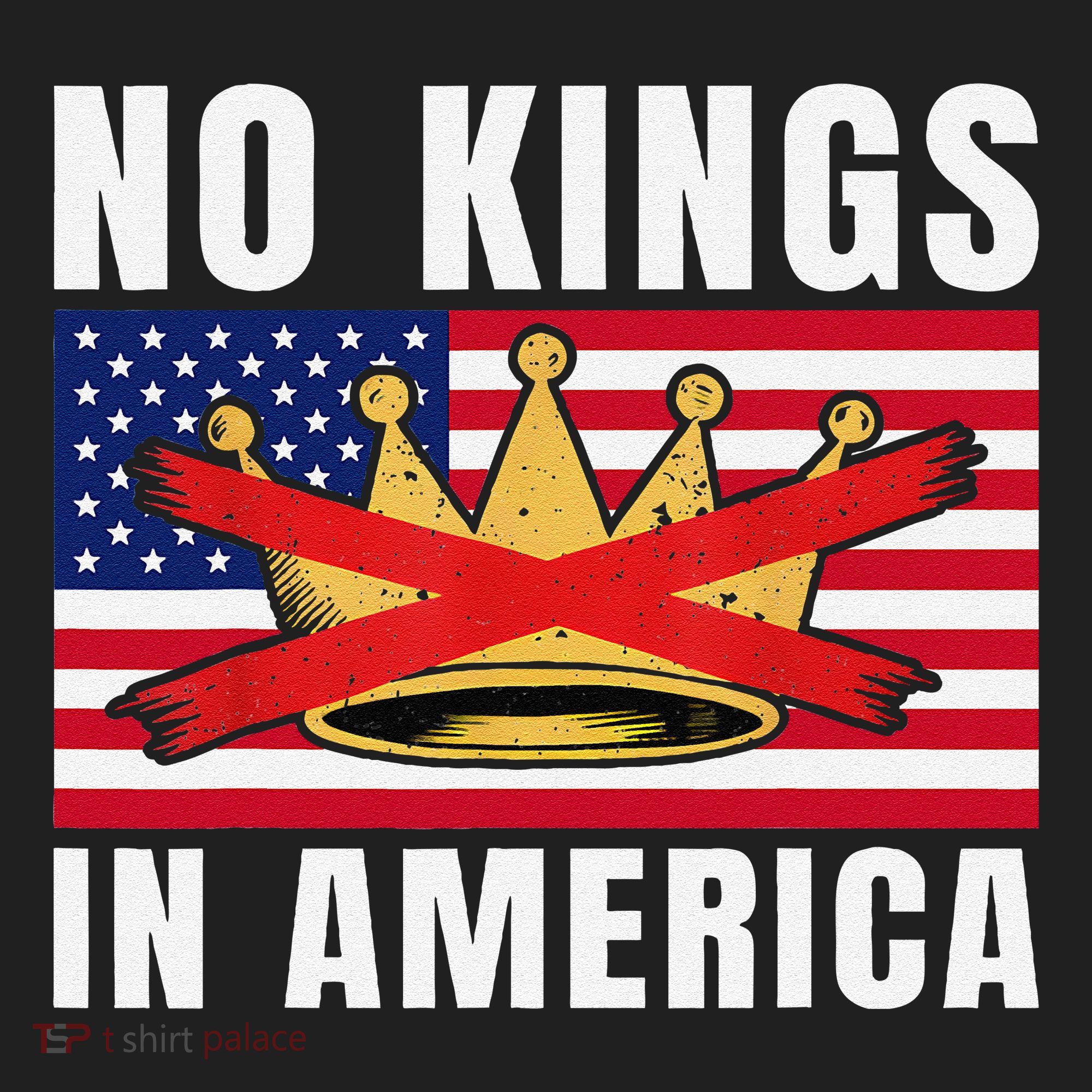 No Kings In America Court Ruling Protest Save Democracy Usa Women's Sweatshirt