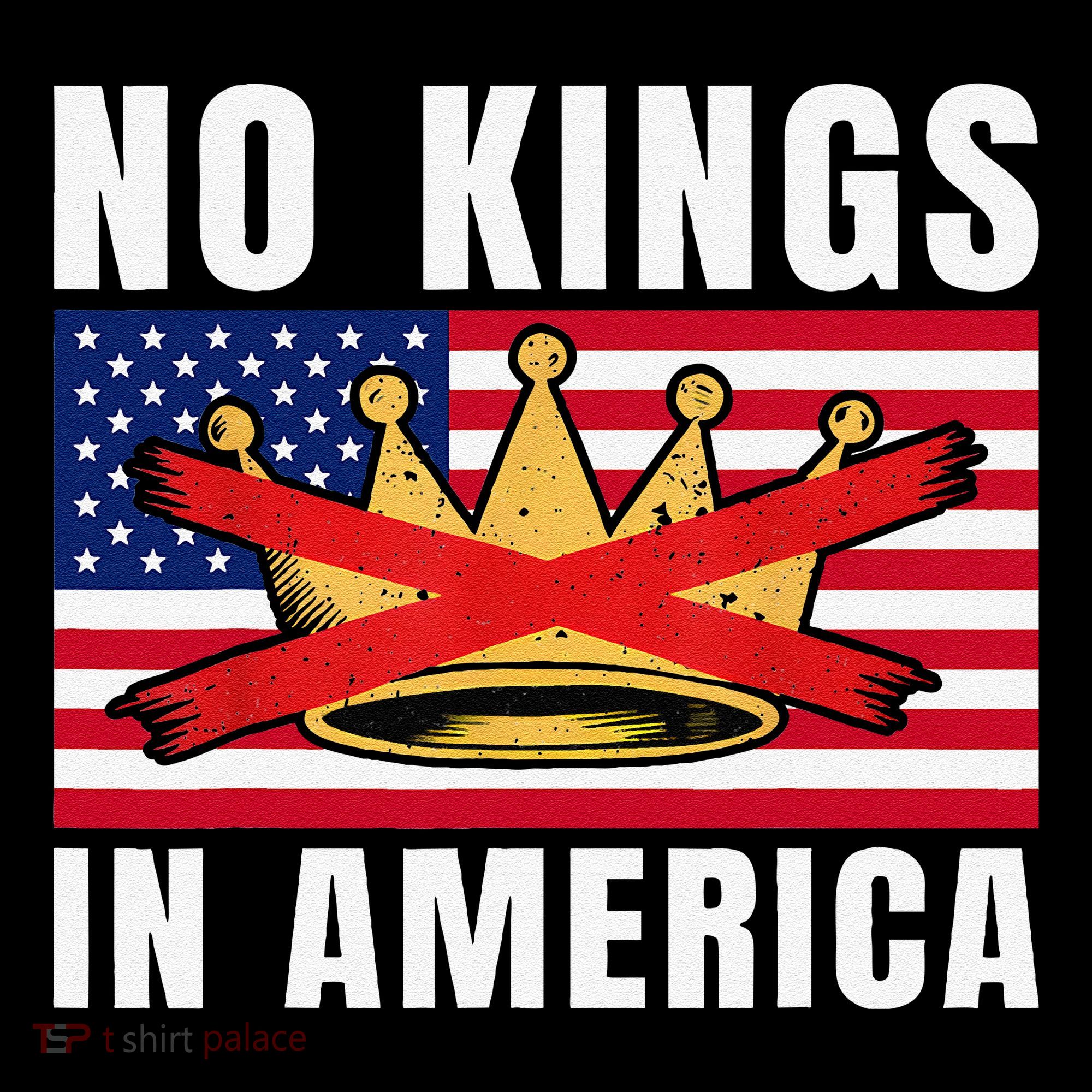 No Kings In America Court Ruling Protest Save Democracy Usa Coffee Mug