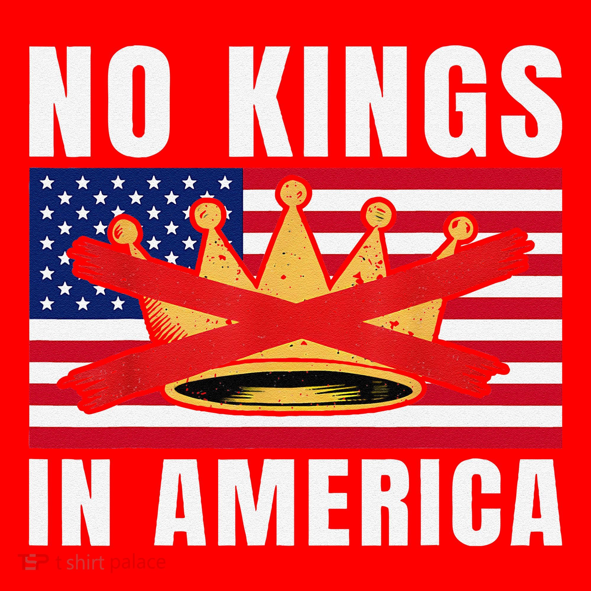 No Kings In America Court Ruling Protest Save Democracy Usa Santa Hat
