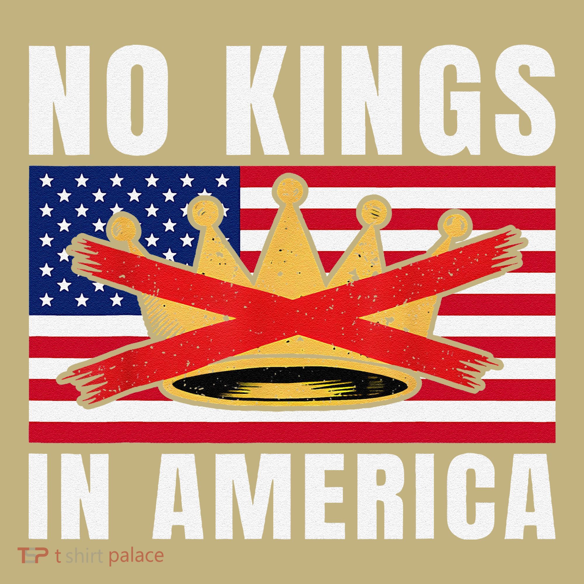 No Kings In America Court Ruling Protest Save Democracy Usa T-Shirt