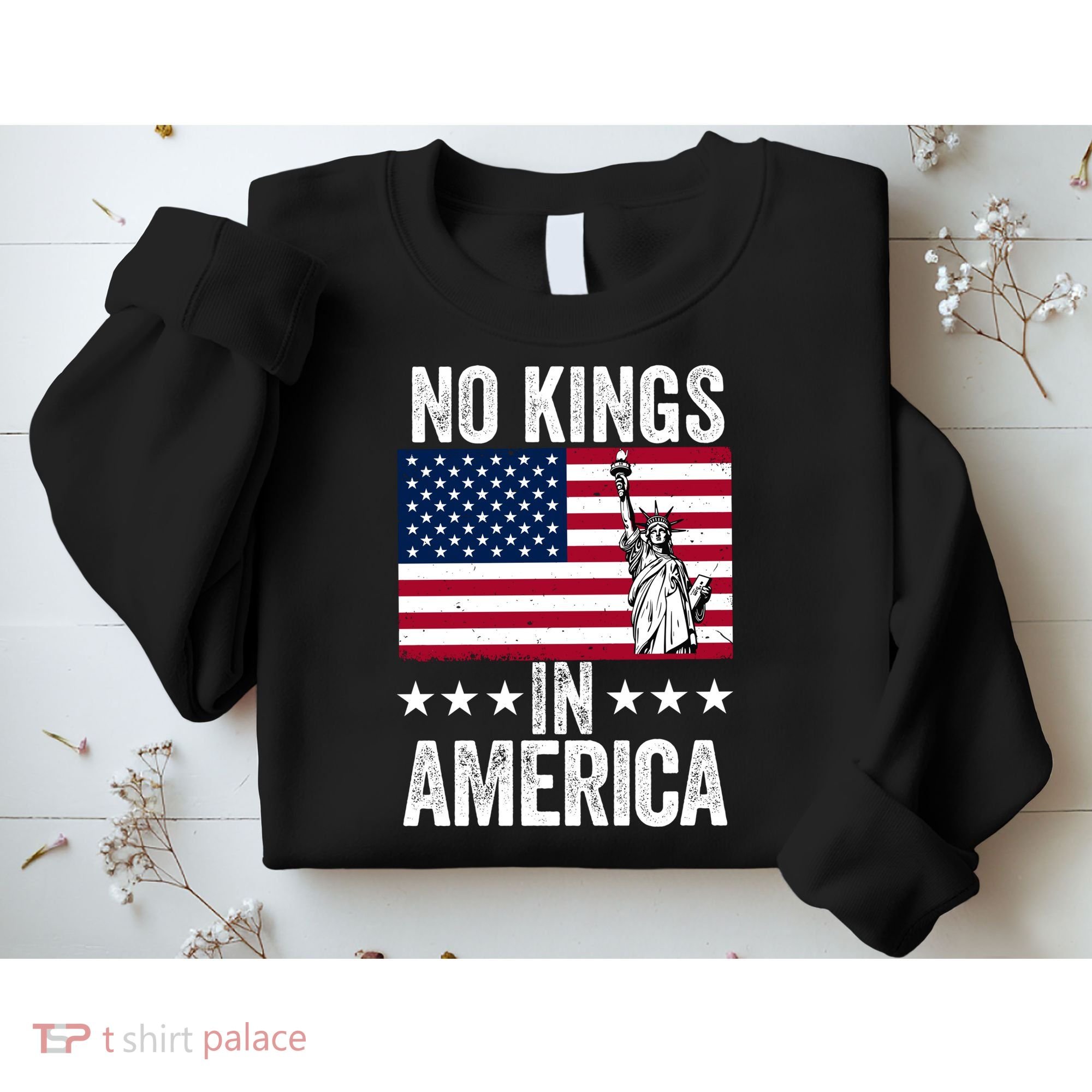 No Kings In America Sweatshirt