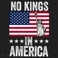 No Kings In America Beanie thumb 2