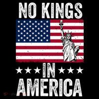 No Kings In America Ornament thumb 1