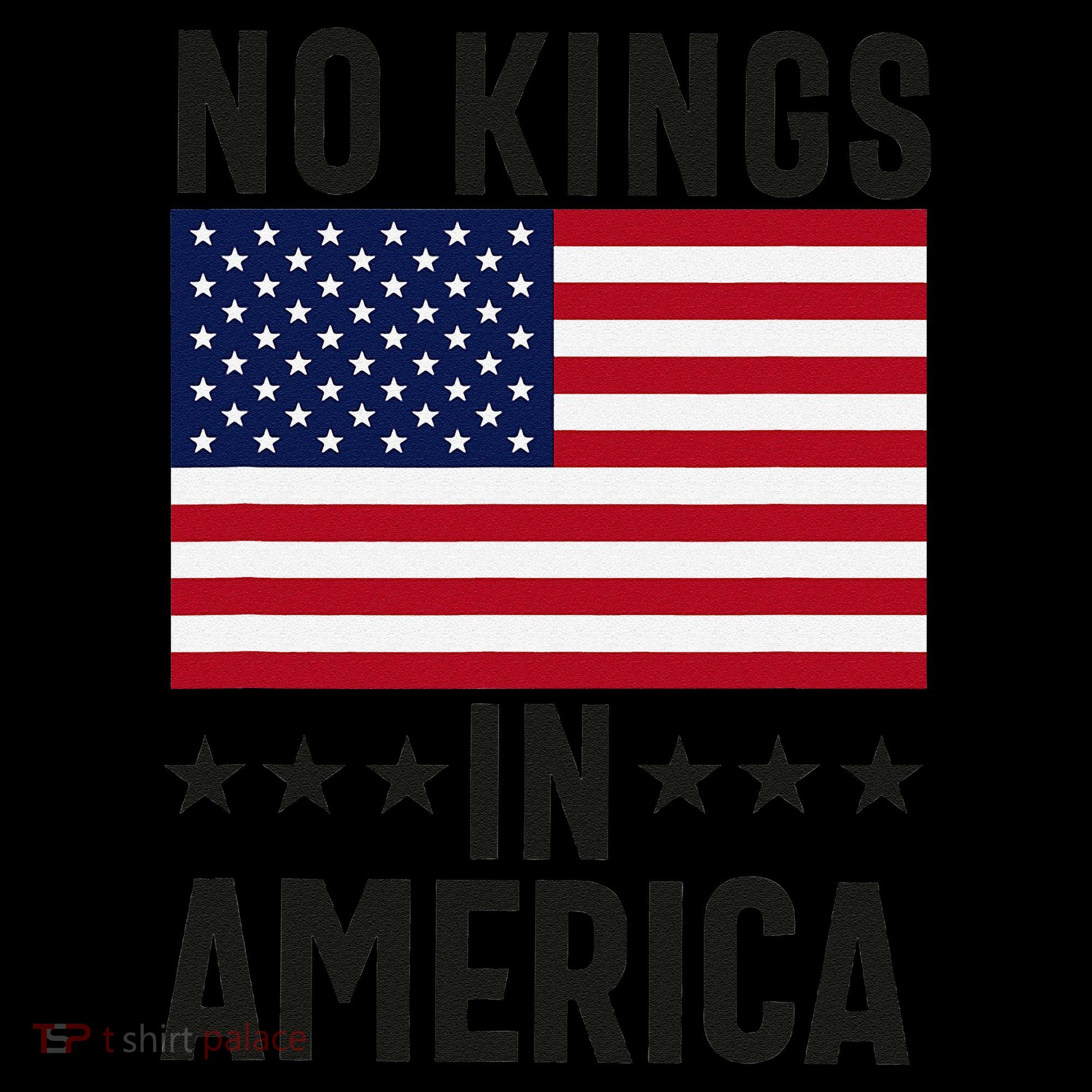 No Kings In America Flag Protest Save Democracy Coffee Mug