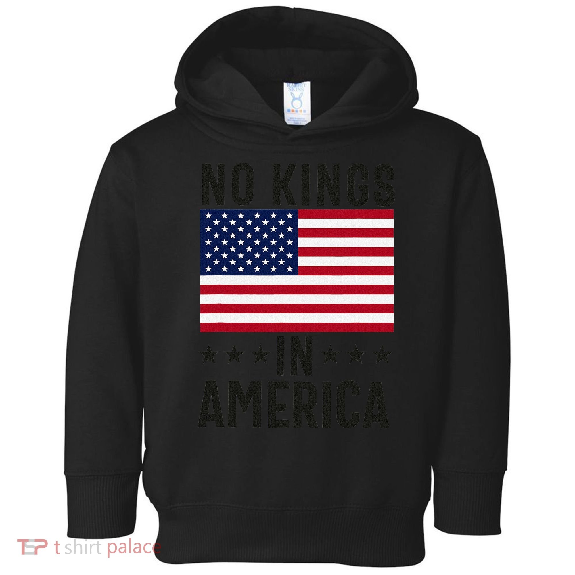 No Kings In America Flag Protest Save Democracy Toddler Hoodie