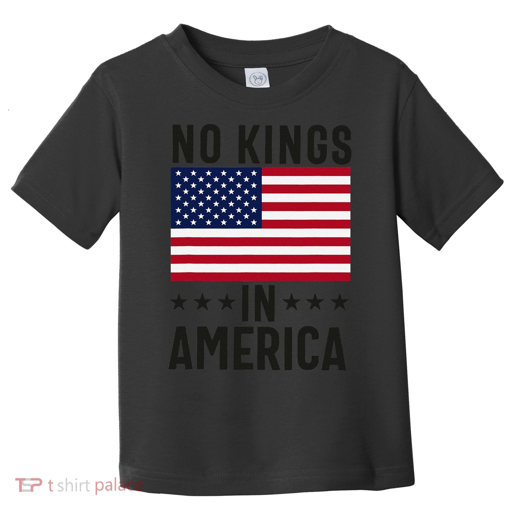 No Kings In America Flag Protest Save Democracy Toddler T-Shirt