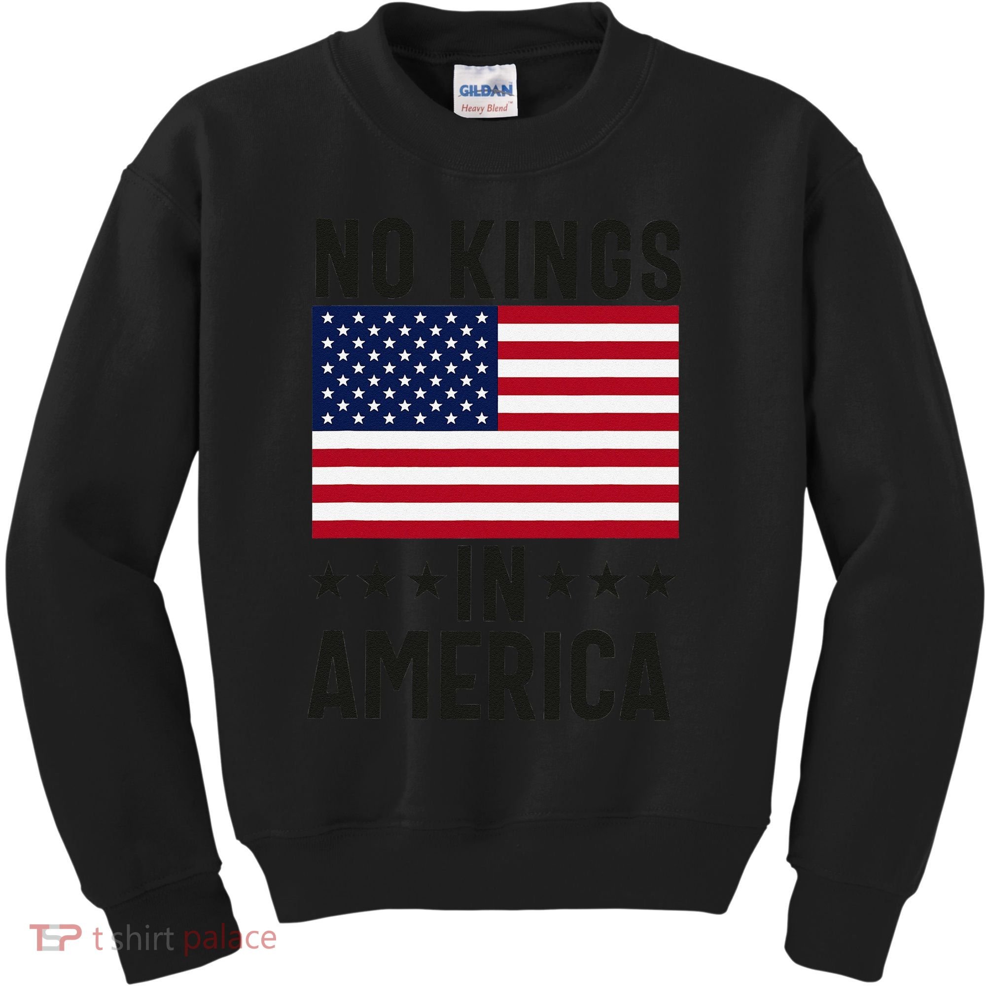 No Kings In America Flag Protest Save Democracy Kids Sweatshirt