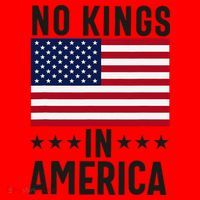 No Kings In America Flag Protest Save Democracy Santa Hat thumb 1