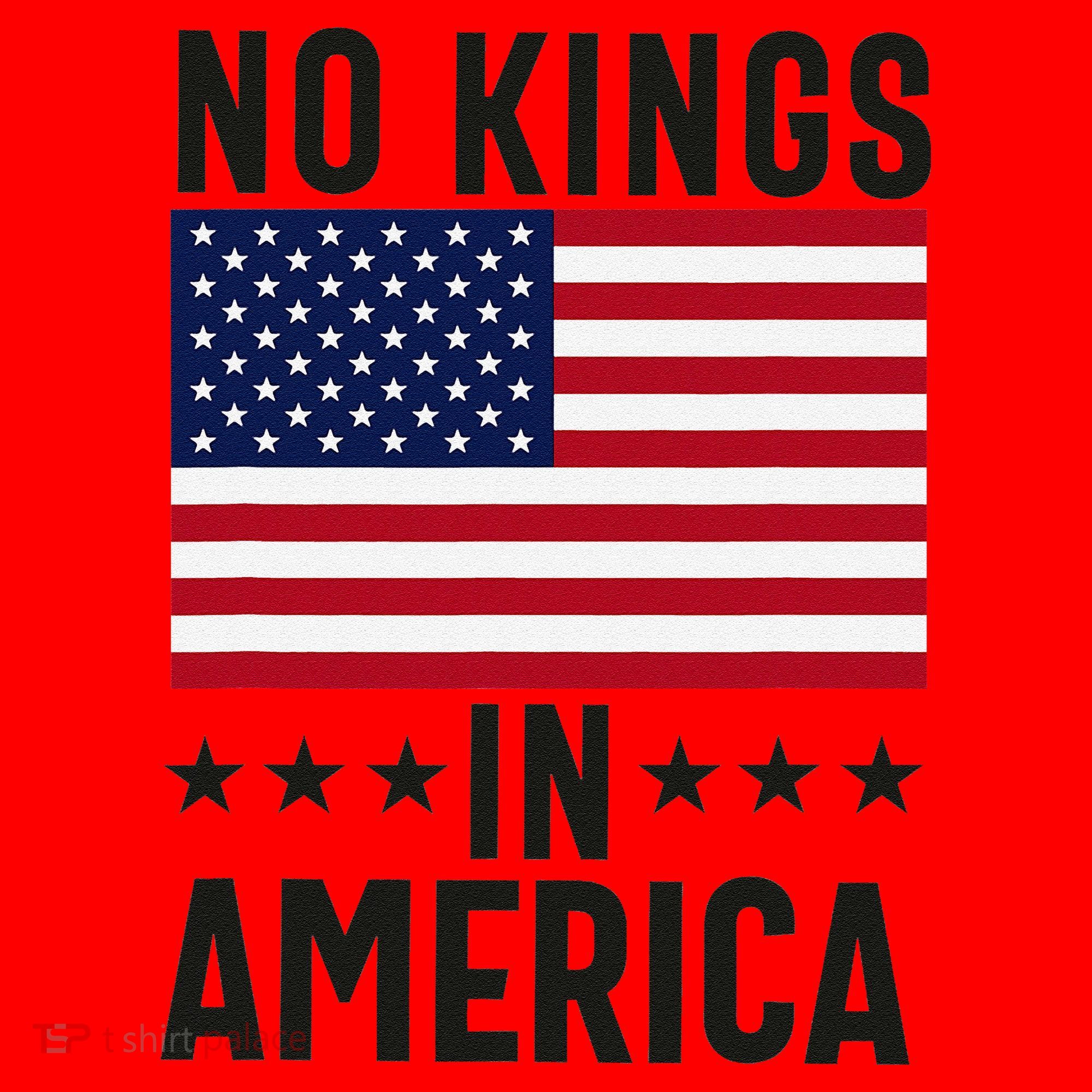 No Kings In America Flag Protest Save Democracy Santa Hat