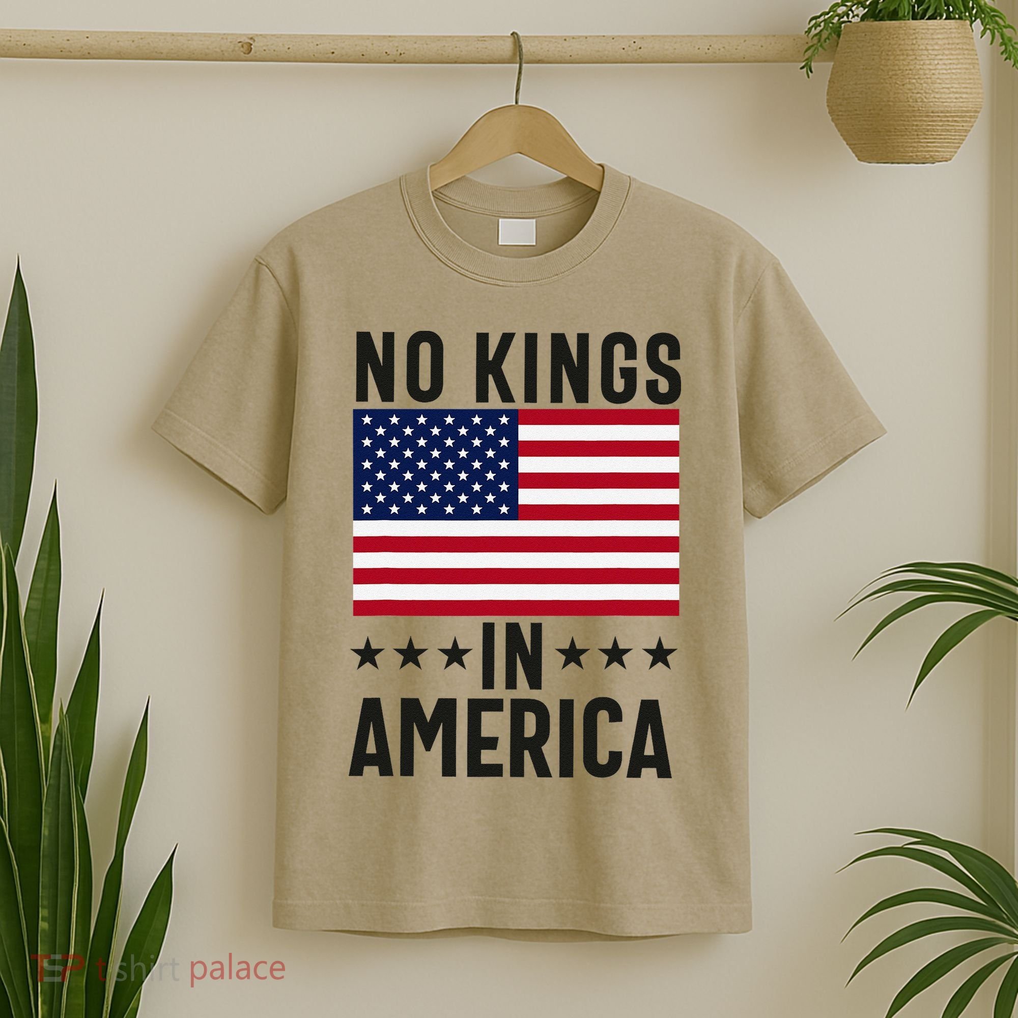 No Kings In America Flag Protest Save Democracy T-Shirt