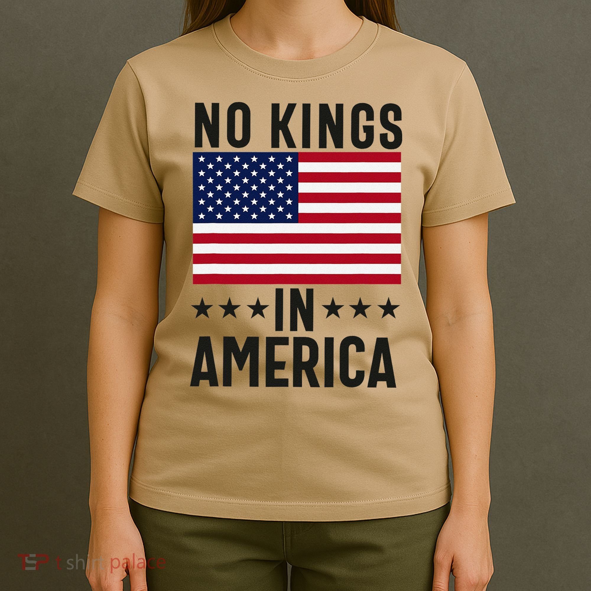 No Kings In America Flag Protest Save Democracy T-Shirt