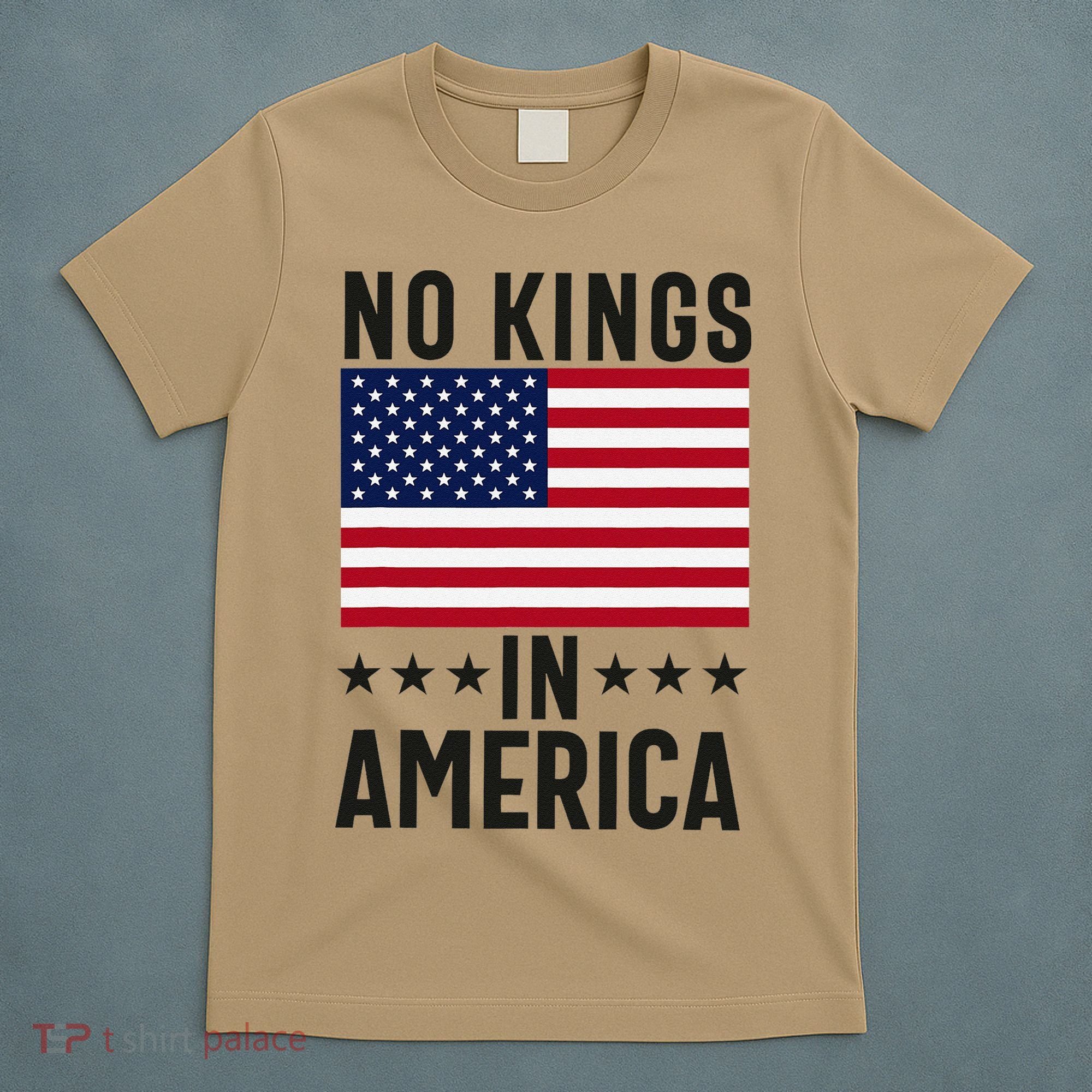 No Kings In America Flag Protest Save Democracy T-Shirt
