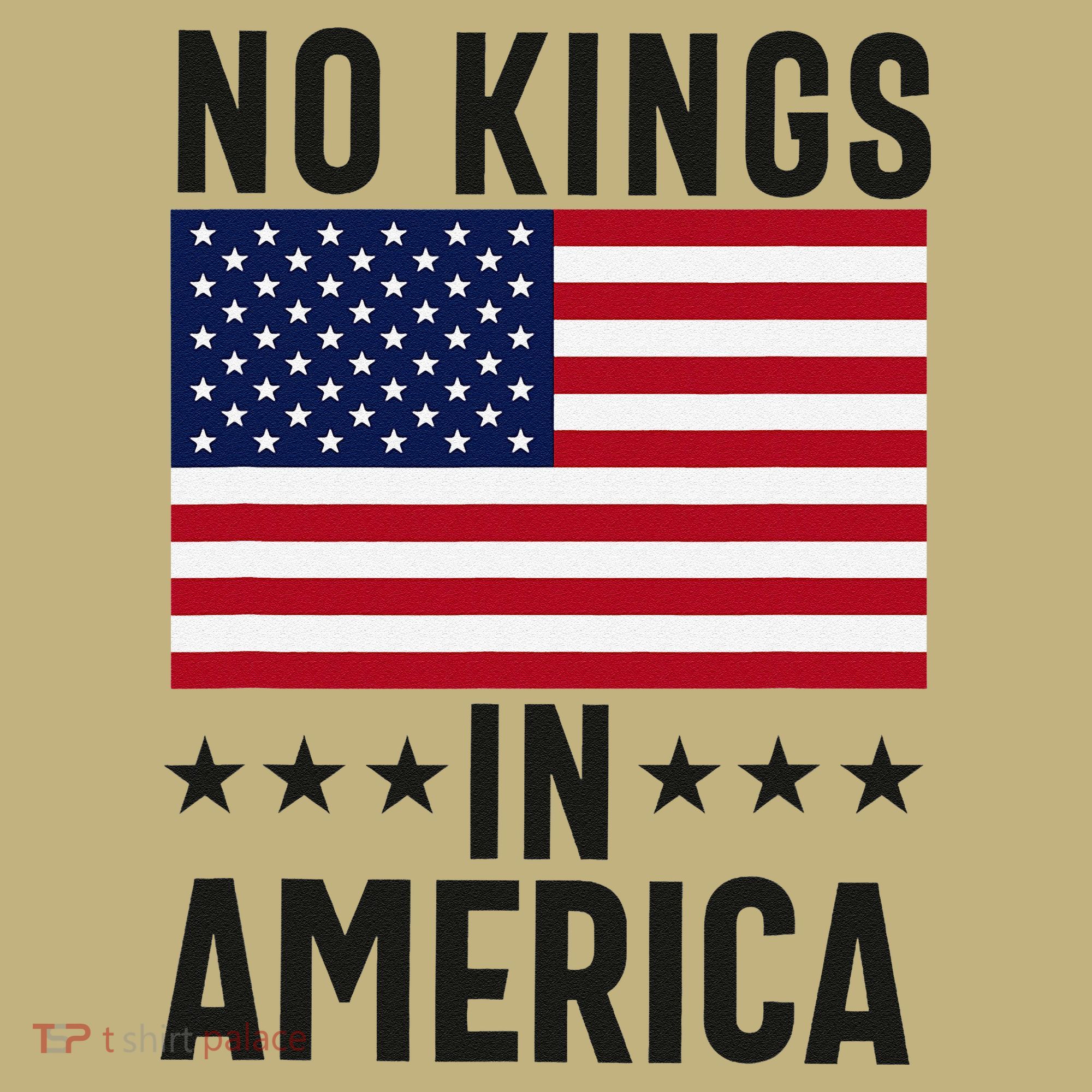 No Kings In America Flag Protest Save Democracy T-Shirt
