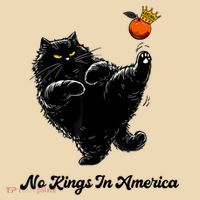 No Kings In America We The People Political  Tote Bag thumb 4