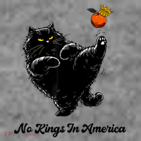 No Kings In America We The People Political  Toddler Hoodie thumb 2