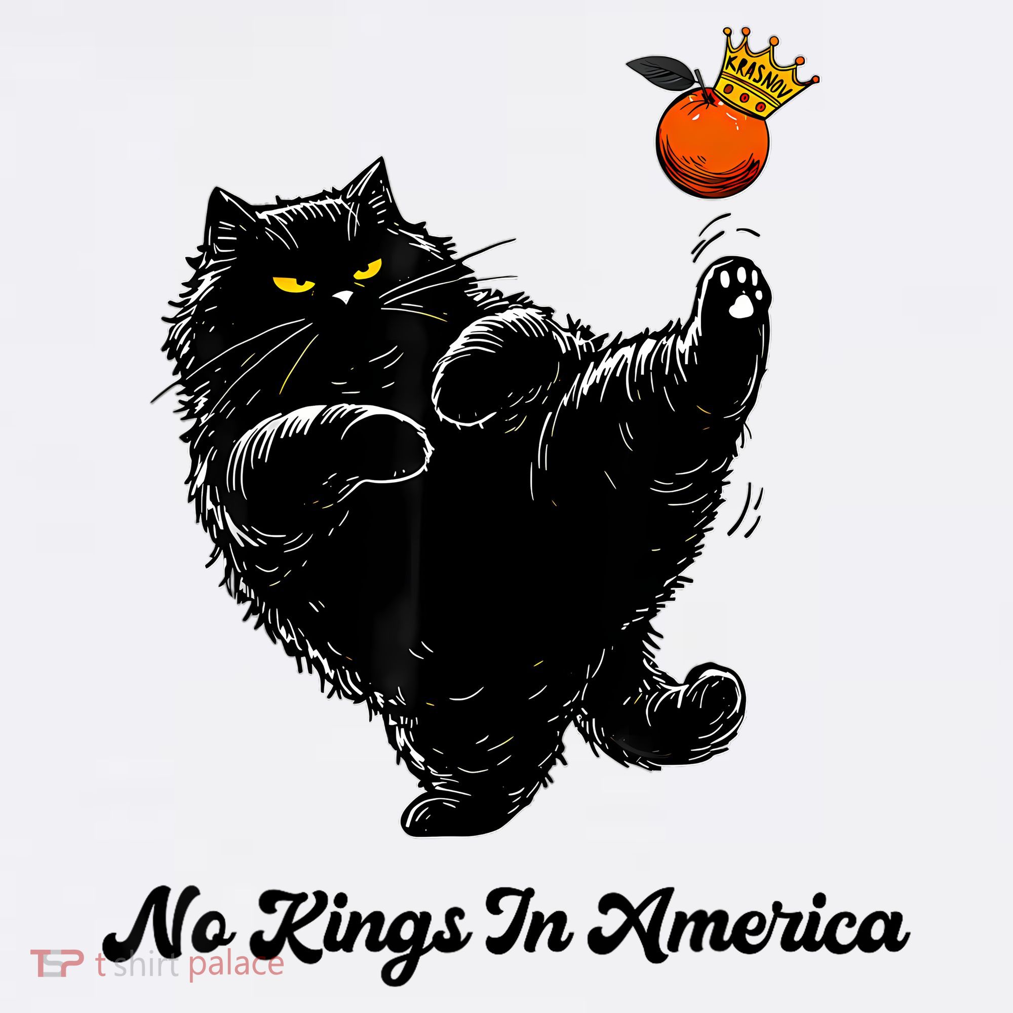 No Kings In America We The People Political  T-Shirt