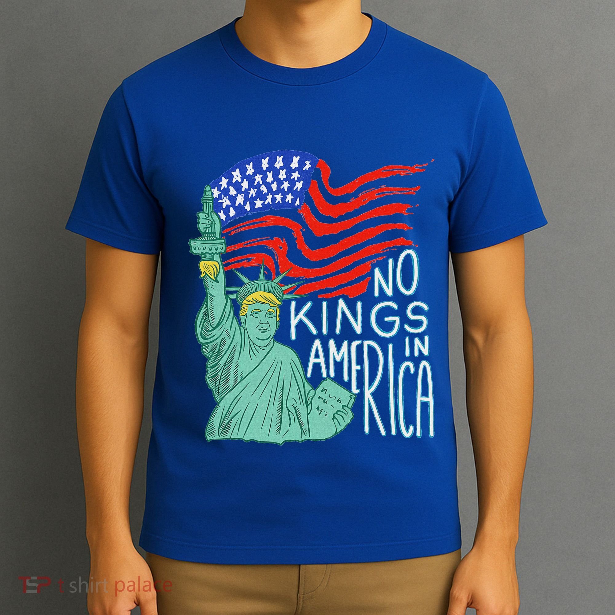 No Kings In America We The People Political T-Shirt