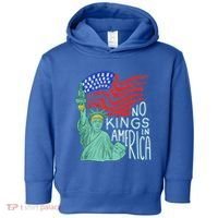 No Kings In America We The People Political Toddler Hoodie thumb 0
