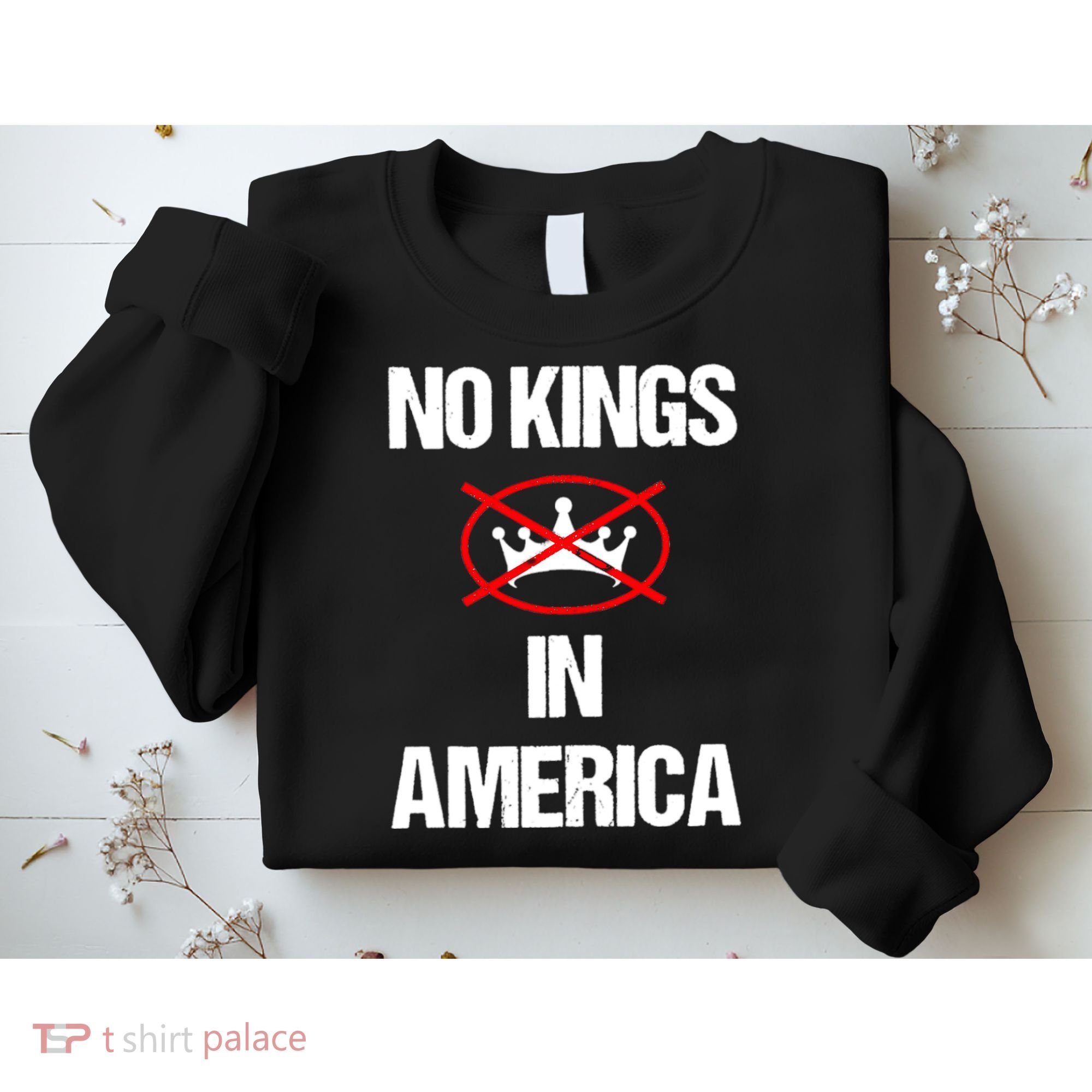 No Kings In America Supreme Court Protest Sweatshirt