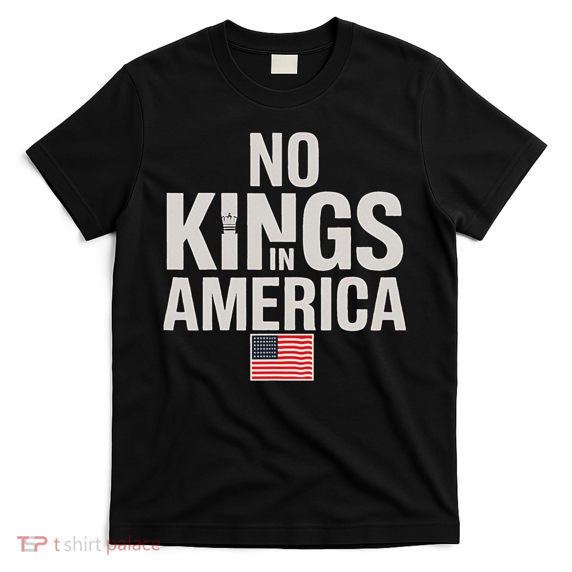No Kings In America Democracy Anti Trump America No King T-Shirt