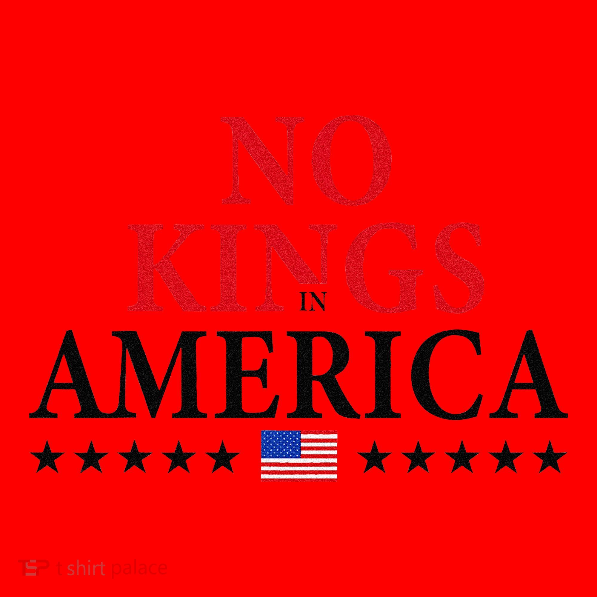 No King In America 45 47 Democracy Usa Independence Saying Santa Hat