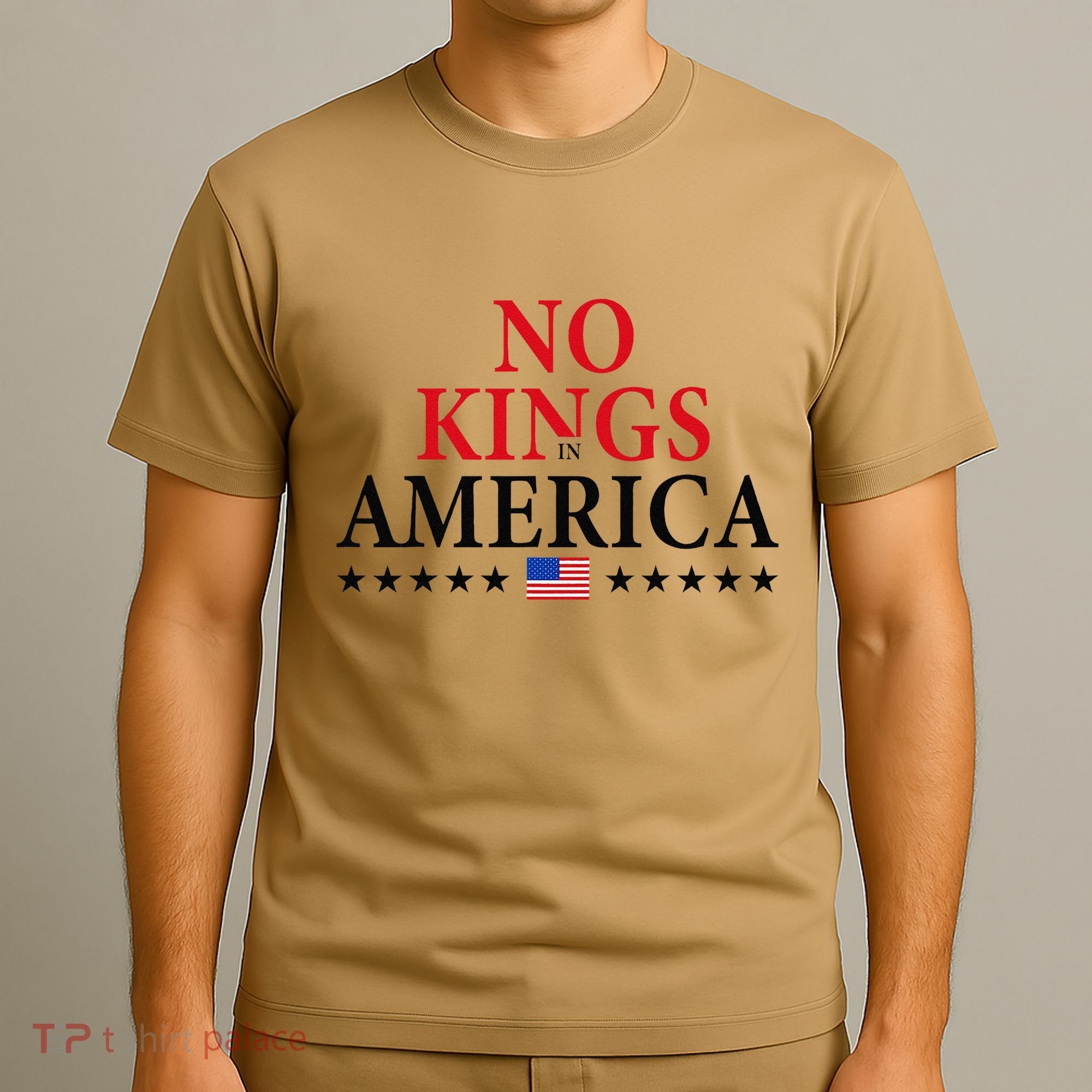 No King In America 45 47 Democracy Usa Independence Saying T-Shirt