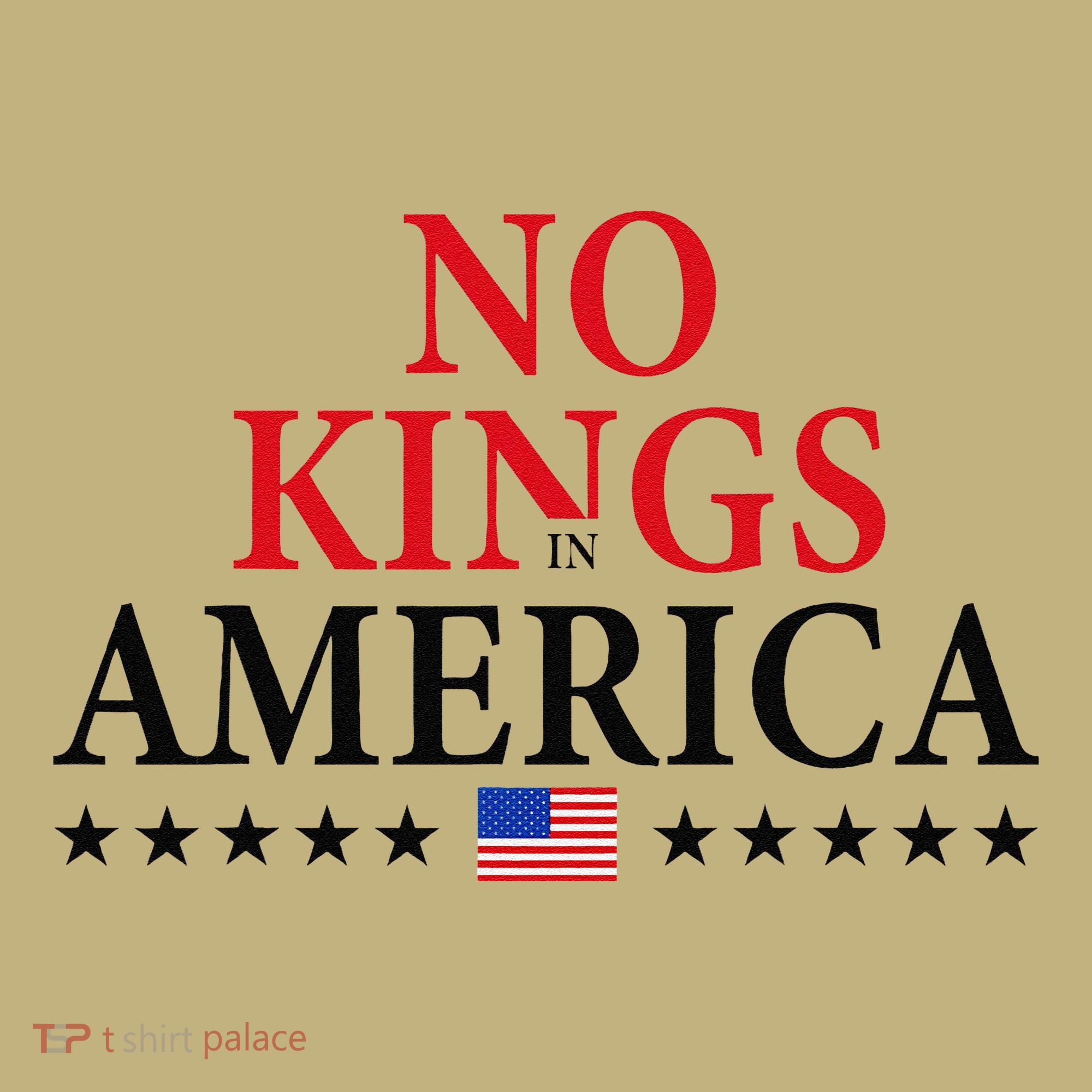No King In America 45 47 Democracy Usa Independence Saying Mousepad