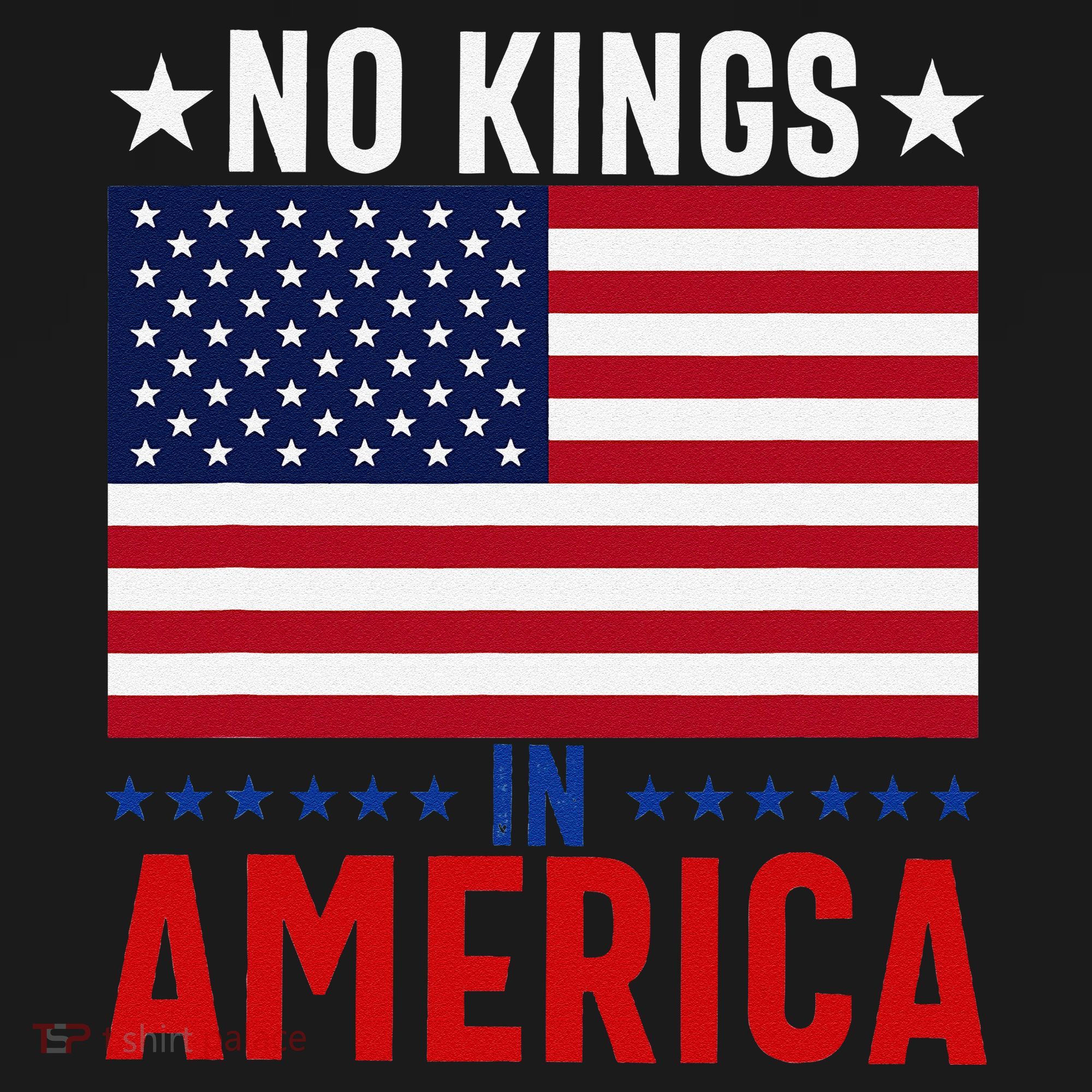 No Kings In America Flag Protest Save Democracy USA-Made Doggie Bandana
