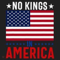 No Kings In America Flag Protest Save Democracy Beanie thumb 2