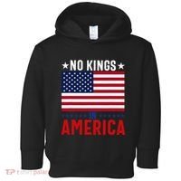 No Kings In America Flag Protest Save Democracy Toddler Hoodie thumb 0