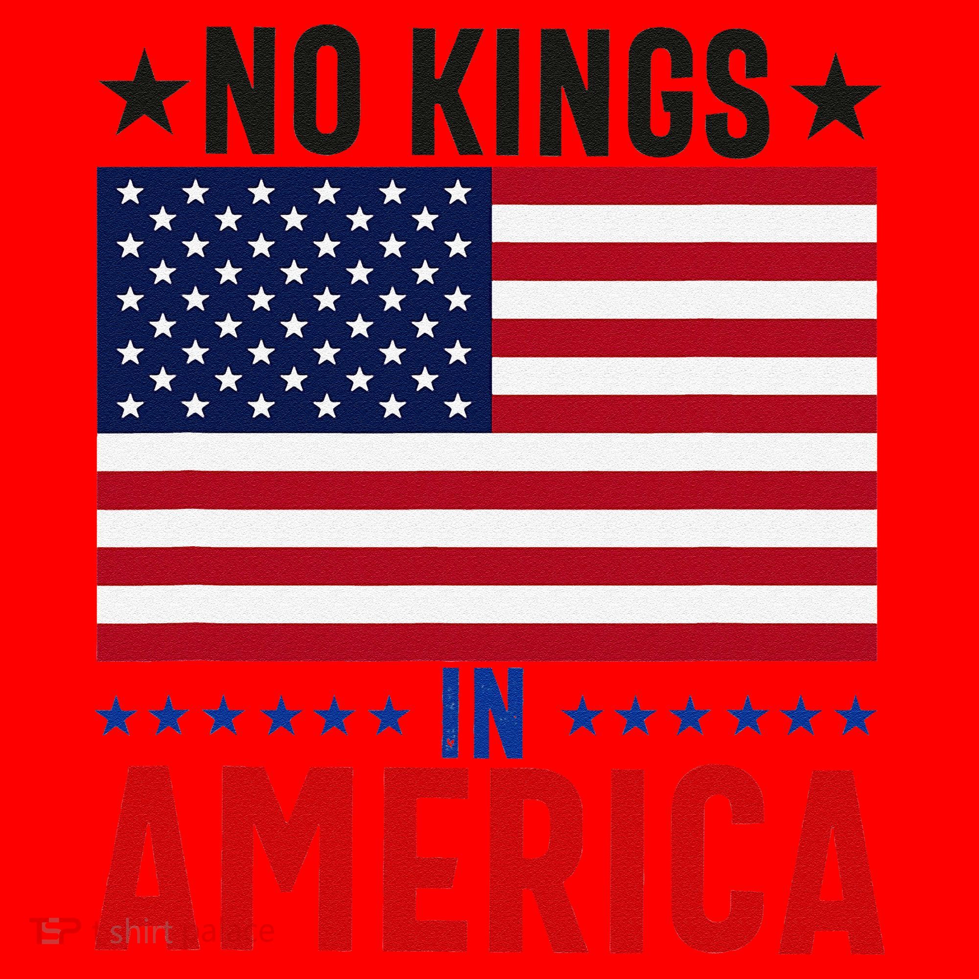 No Kings In America Flag Protest Save Democracy Santa Hat