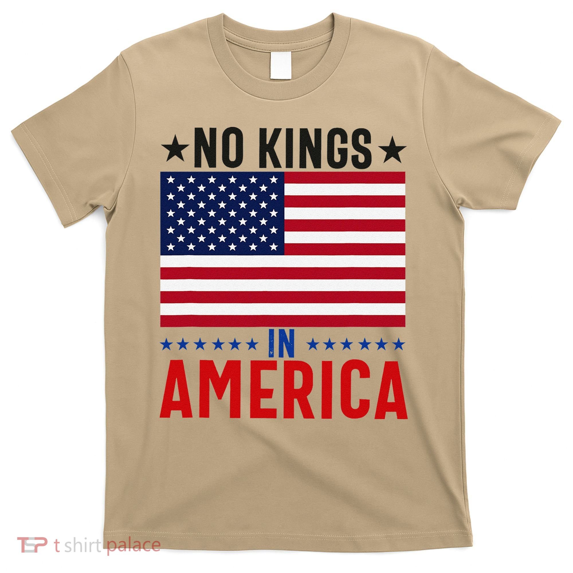 No Kings In America Flag Protest Save Democracy T-Shirt