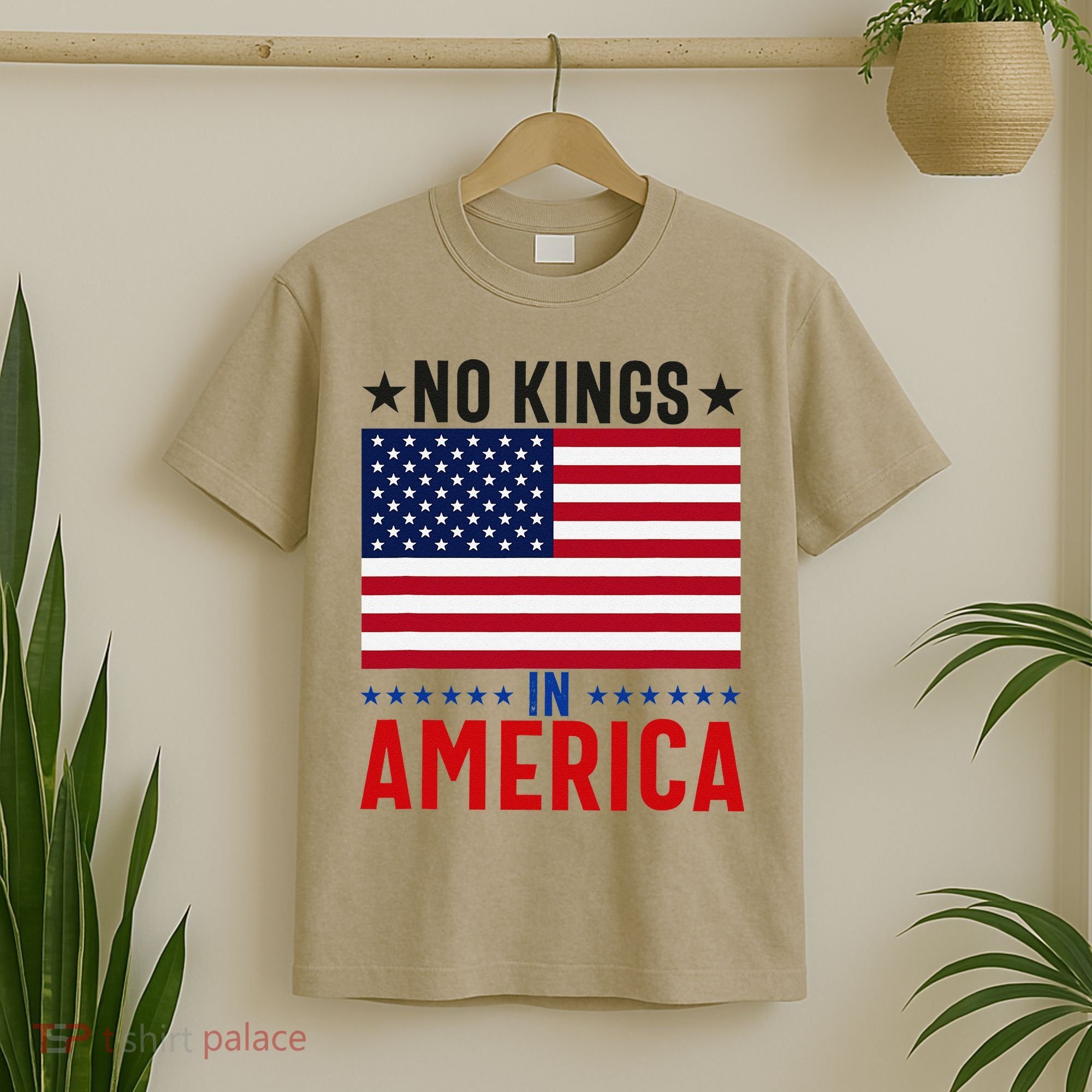 No Kings In America Flag Protest Save Democracy T-Shirt