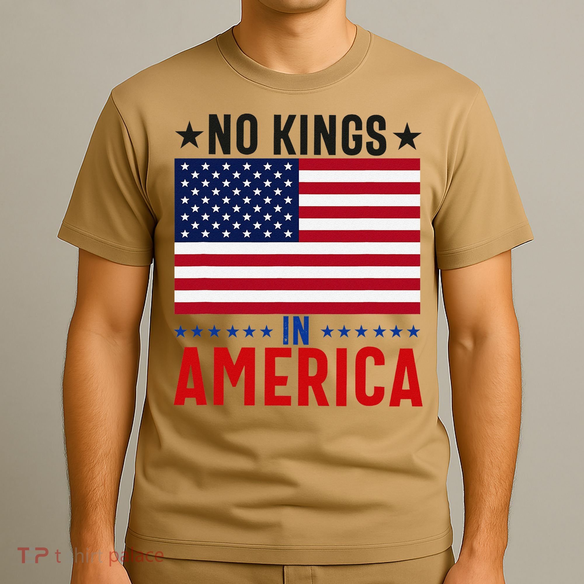 No Kings In America Flag Protest Save Democracy T-Shirt