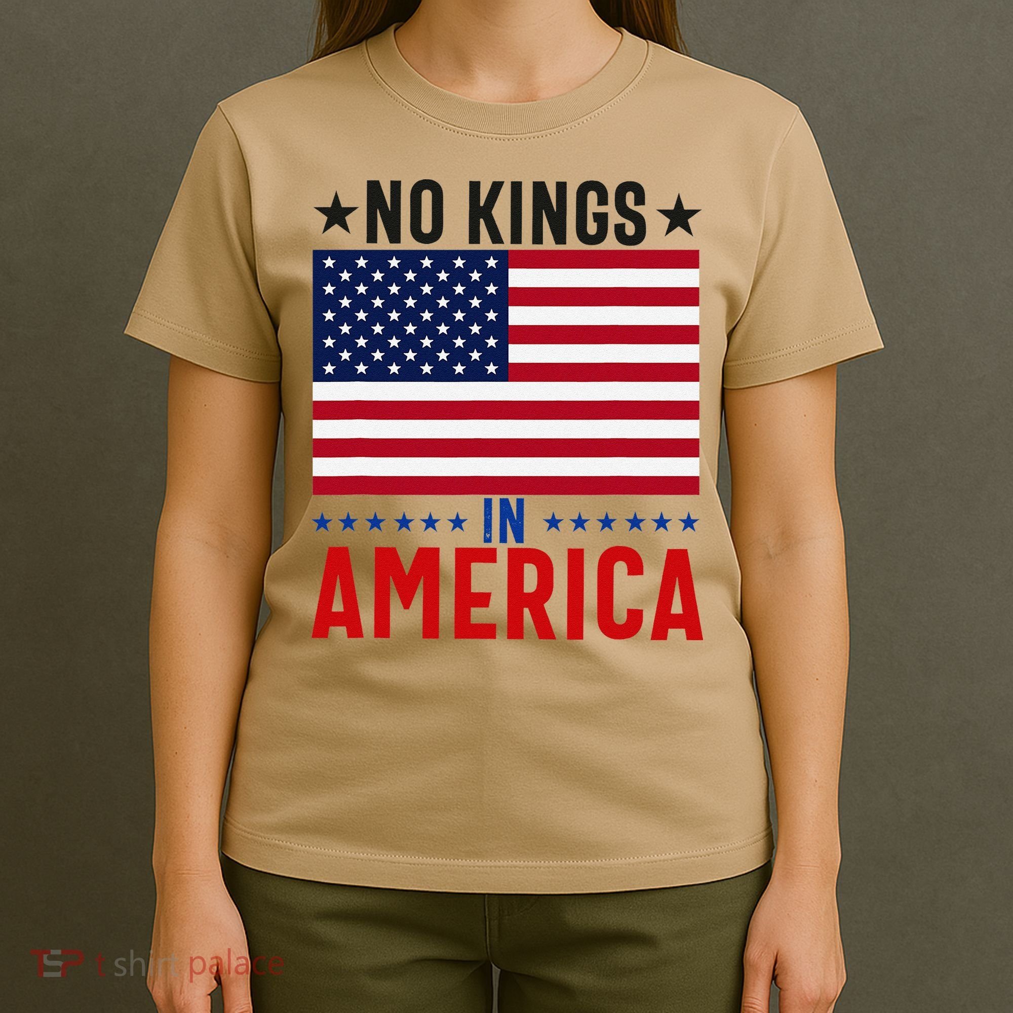 No Kings In America Flag Protest Save Democracy T-Shirt