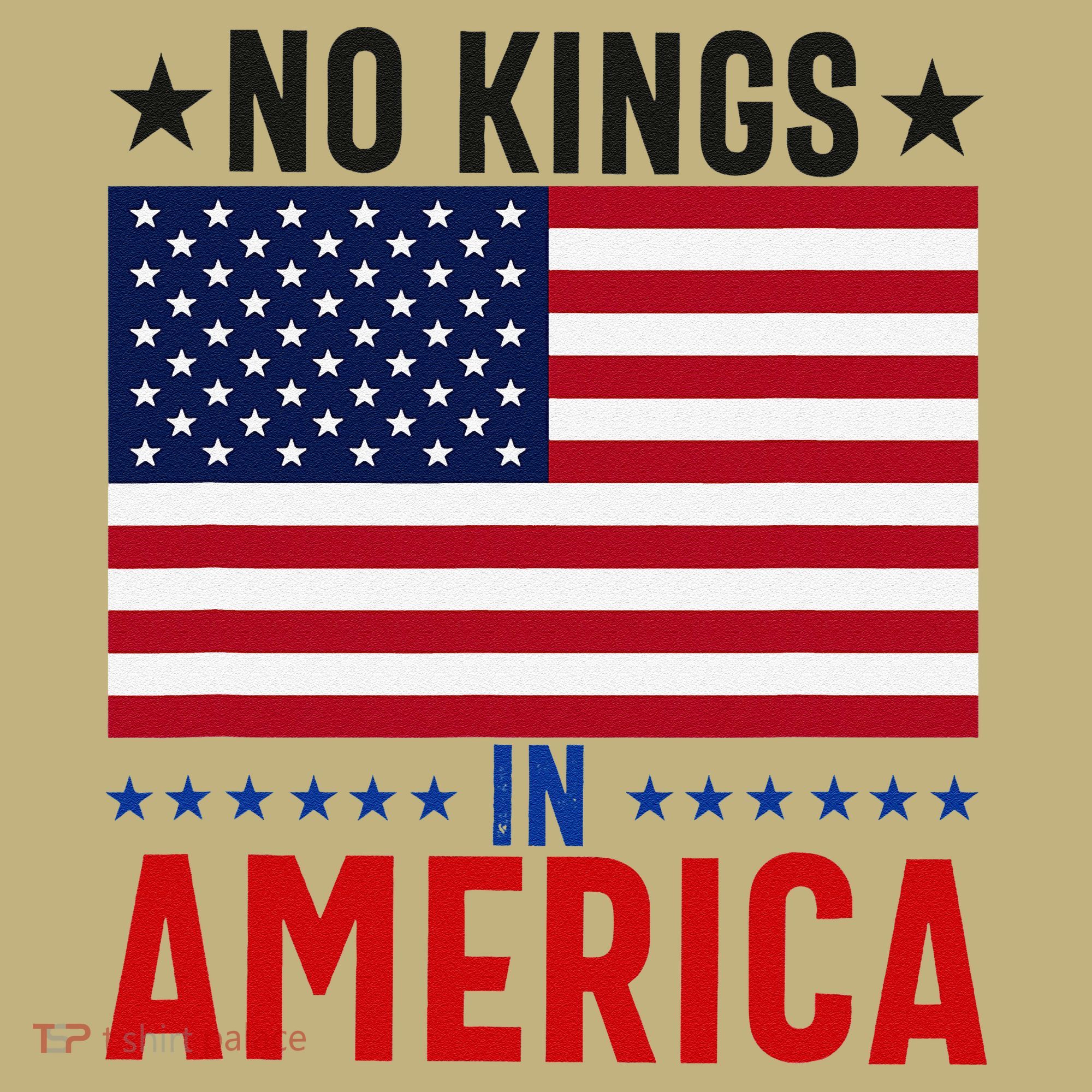 No Kings In America Flag Protest Save Democracy T-Shirt