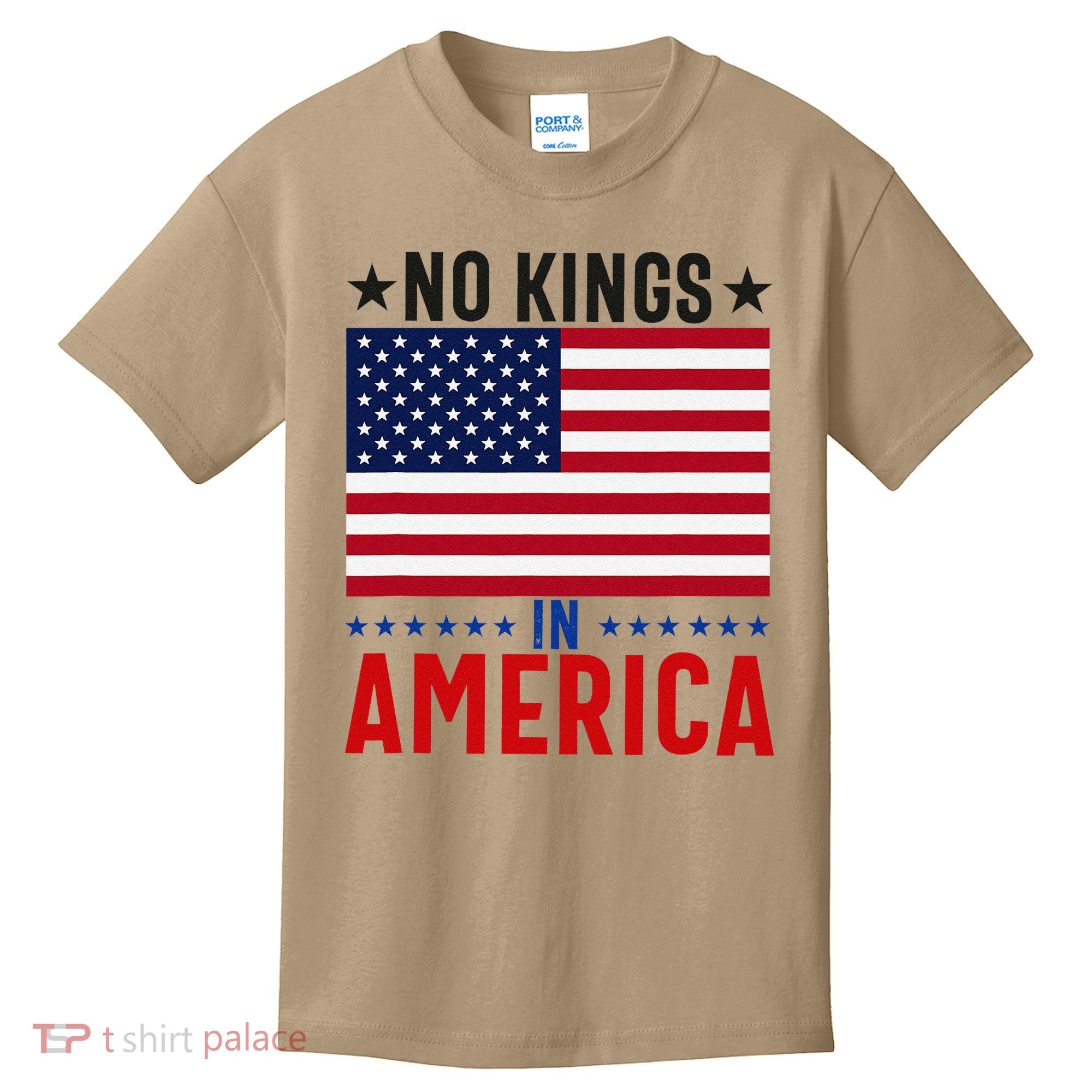 No Kings In America Flag Protest Save Democracy Kids T-Shirt