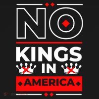 No Kings In America Democracy Court Ruling Saying Ornament thumb 1