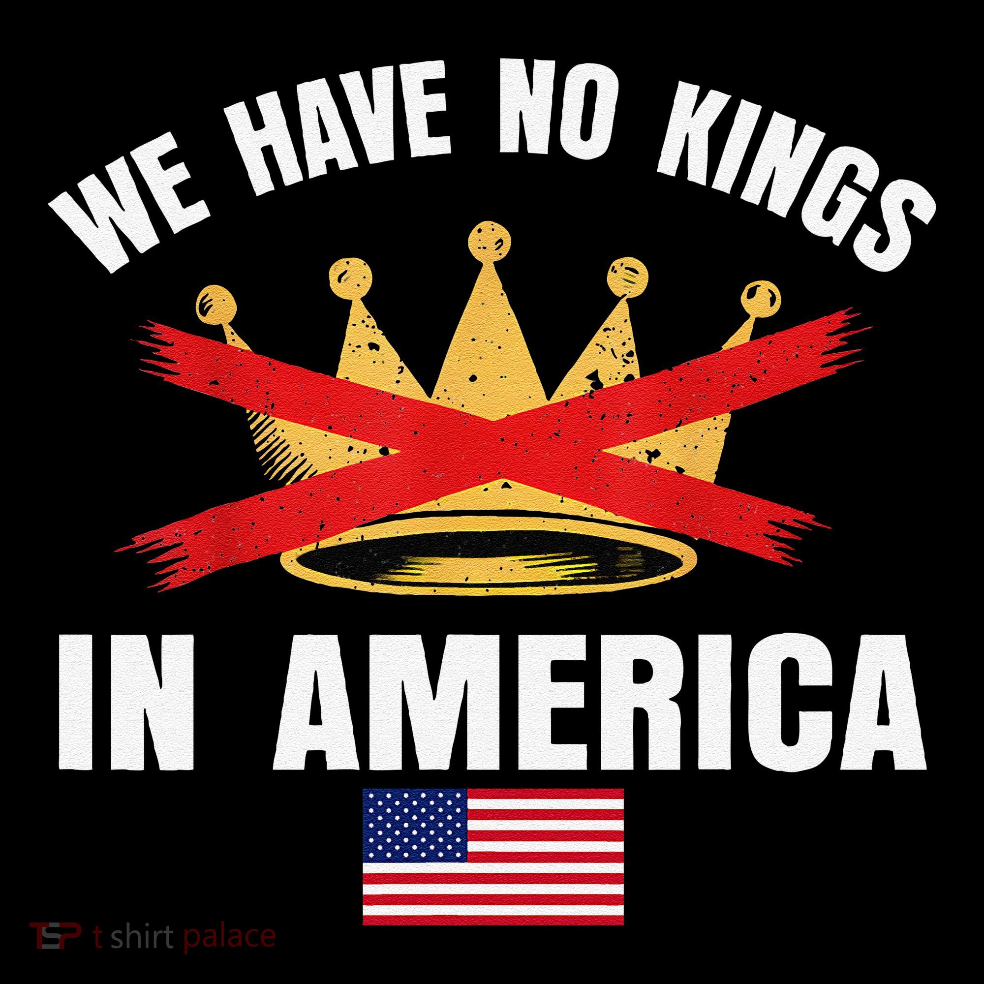No Kings In America Court Ruling Protest Save Democracy Usa Coffee Mug