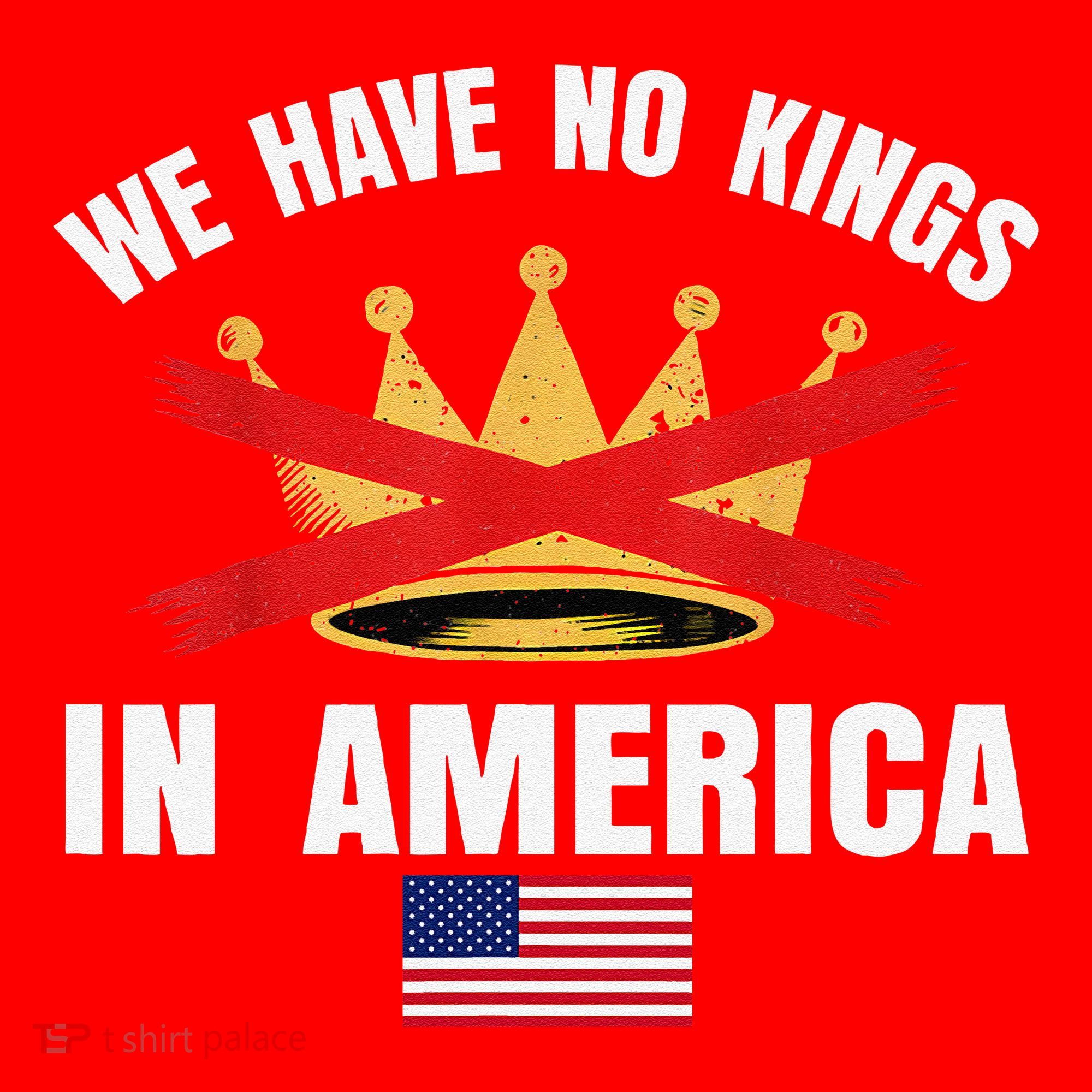 No Kings In America Court Ruling Protest Save Democracy Usa Santa Hat
