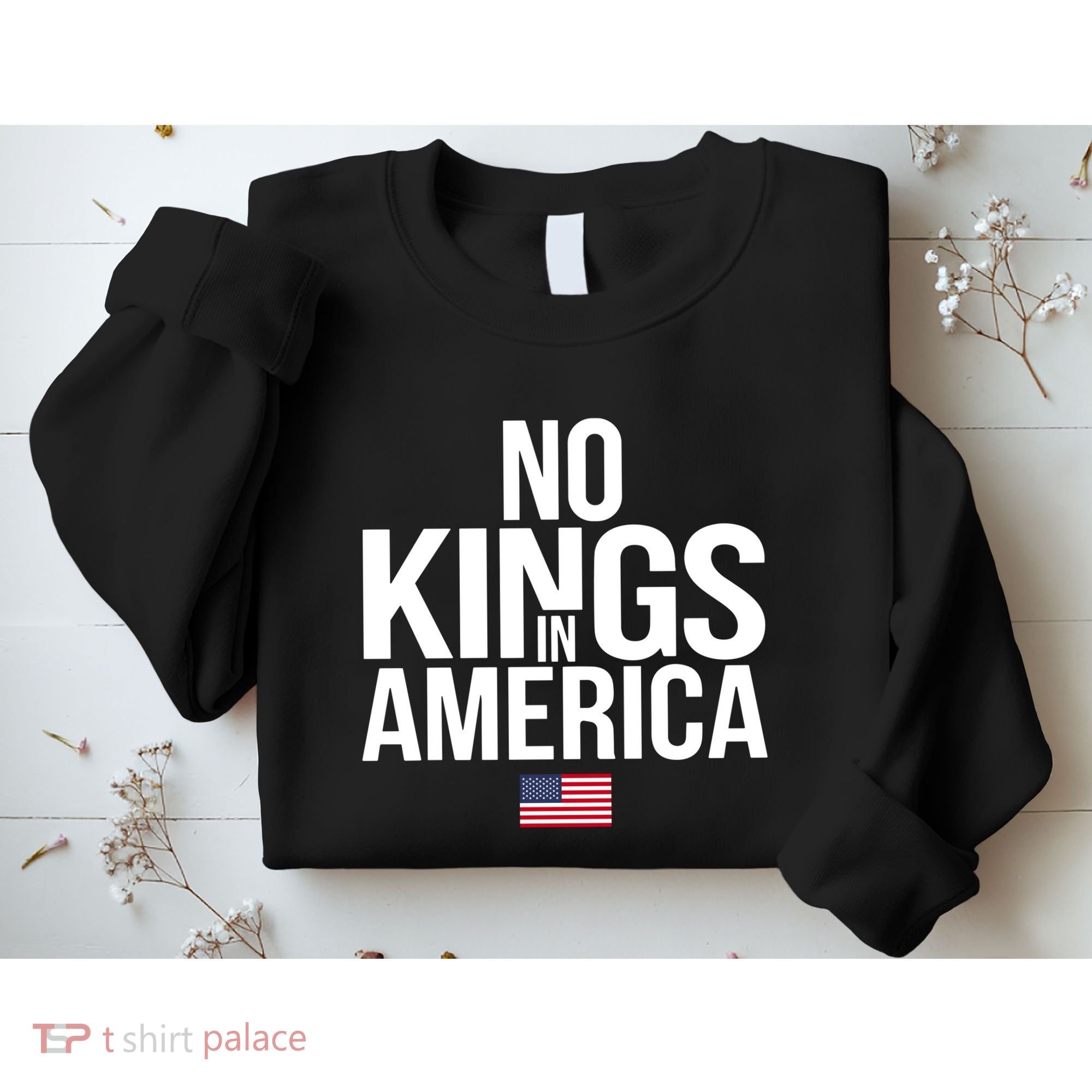 No Kings In America Sweatshirt