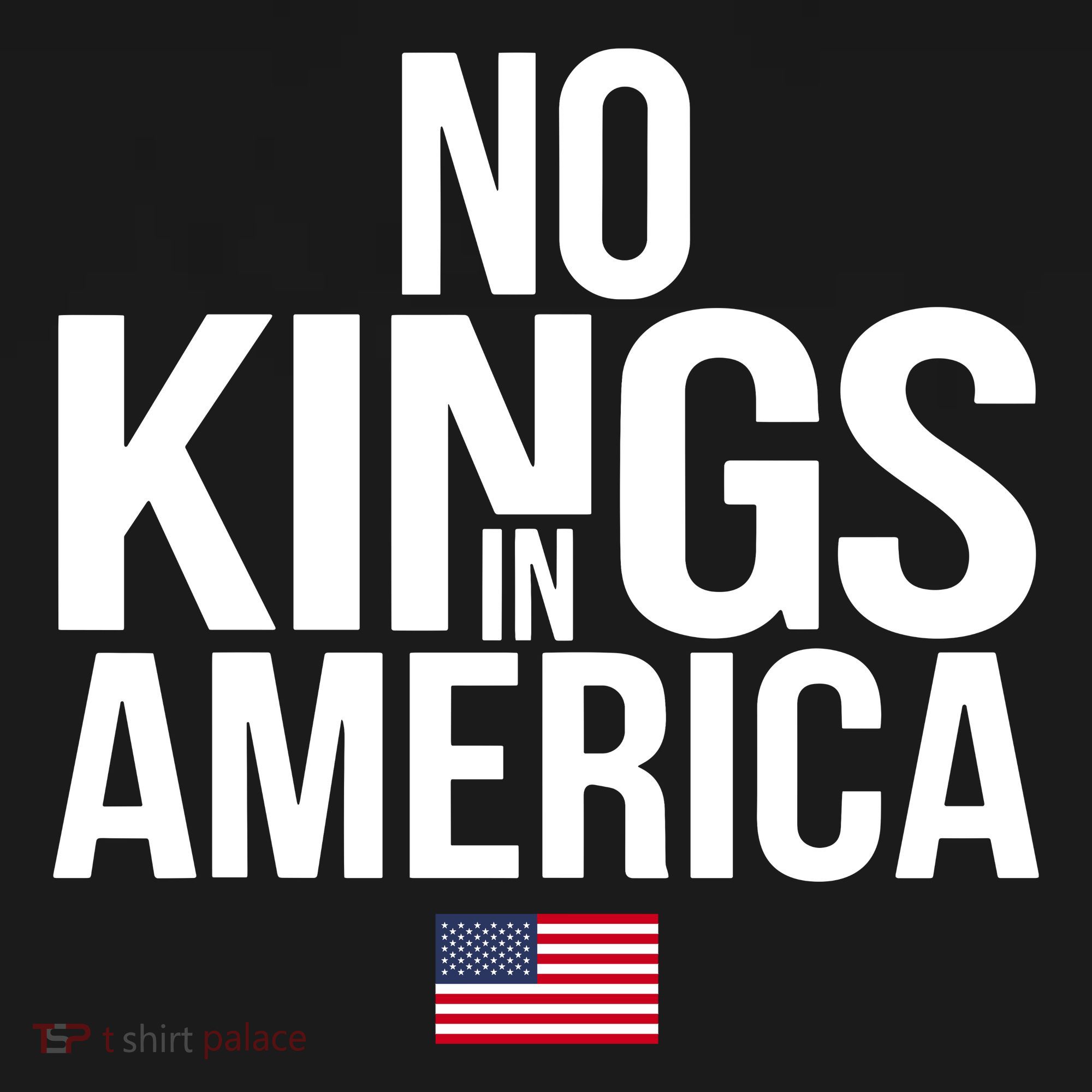 No Kings In America Kids Hoodie