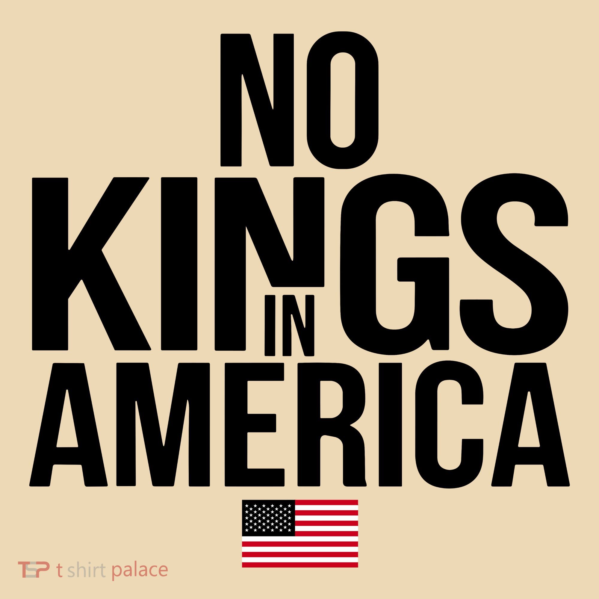 No Kings In America Tote Bag