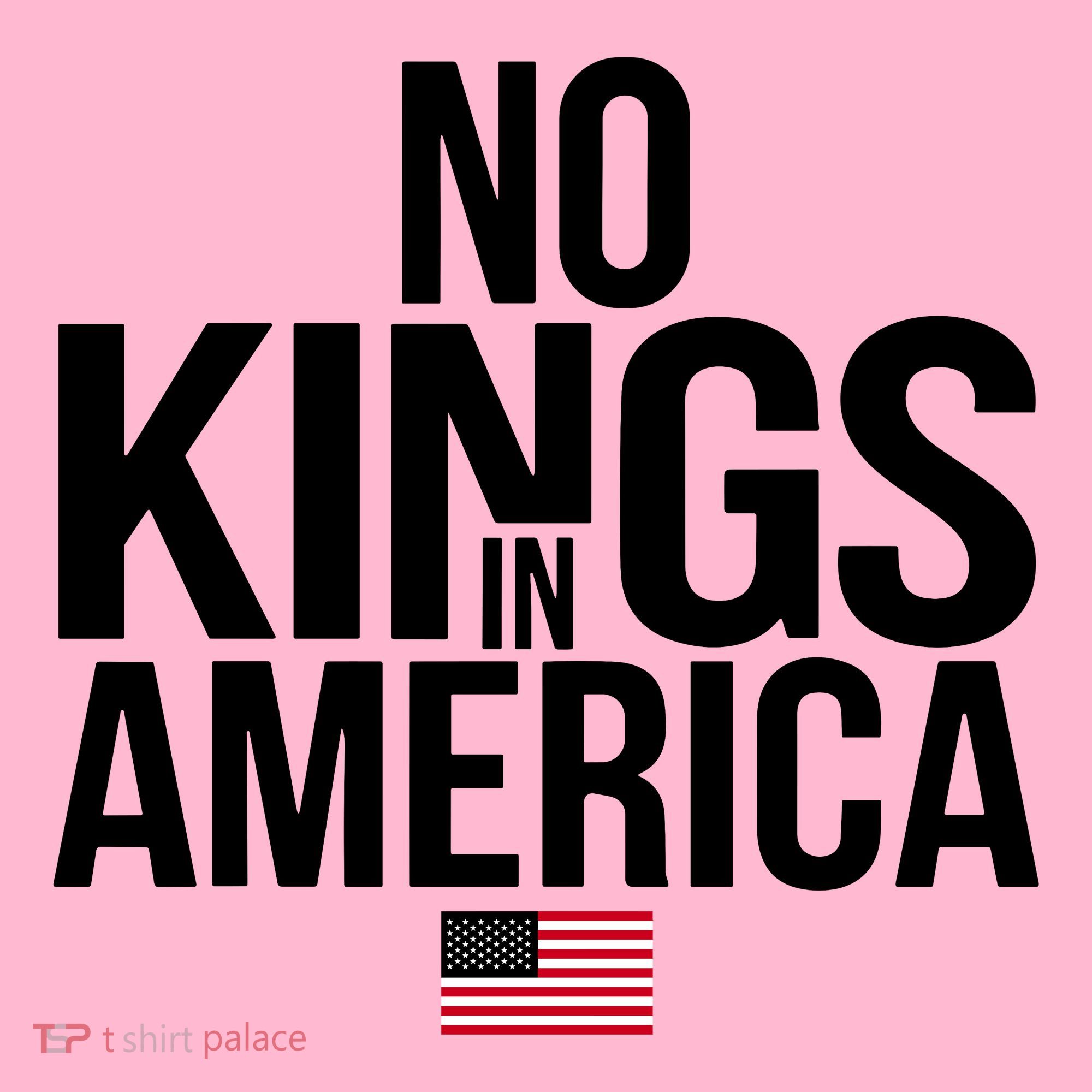 No Kings In America Coaster