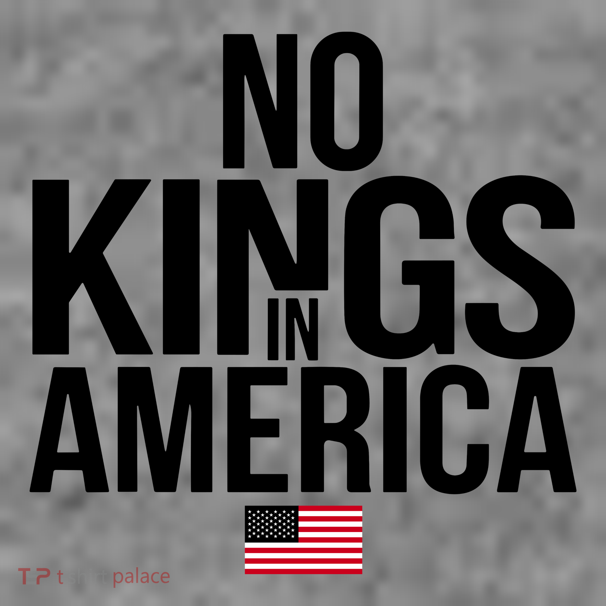 No Kings In America Toddler Hoodie