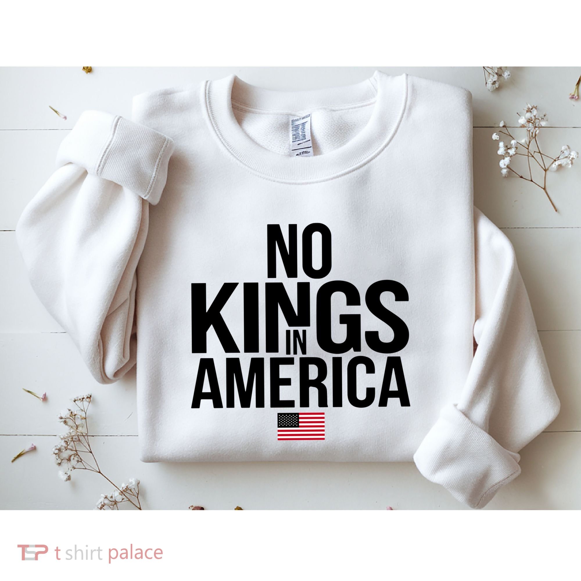 No Kings In America Sweatshirt