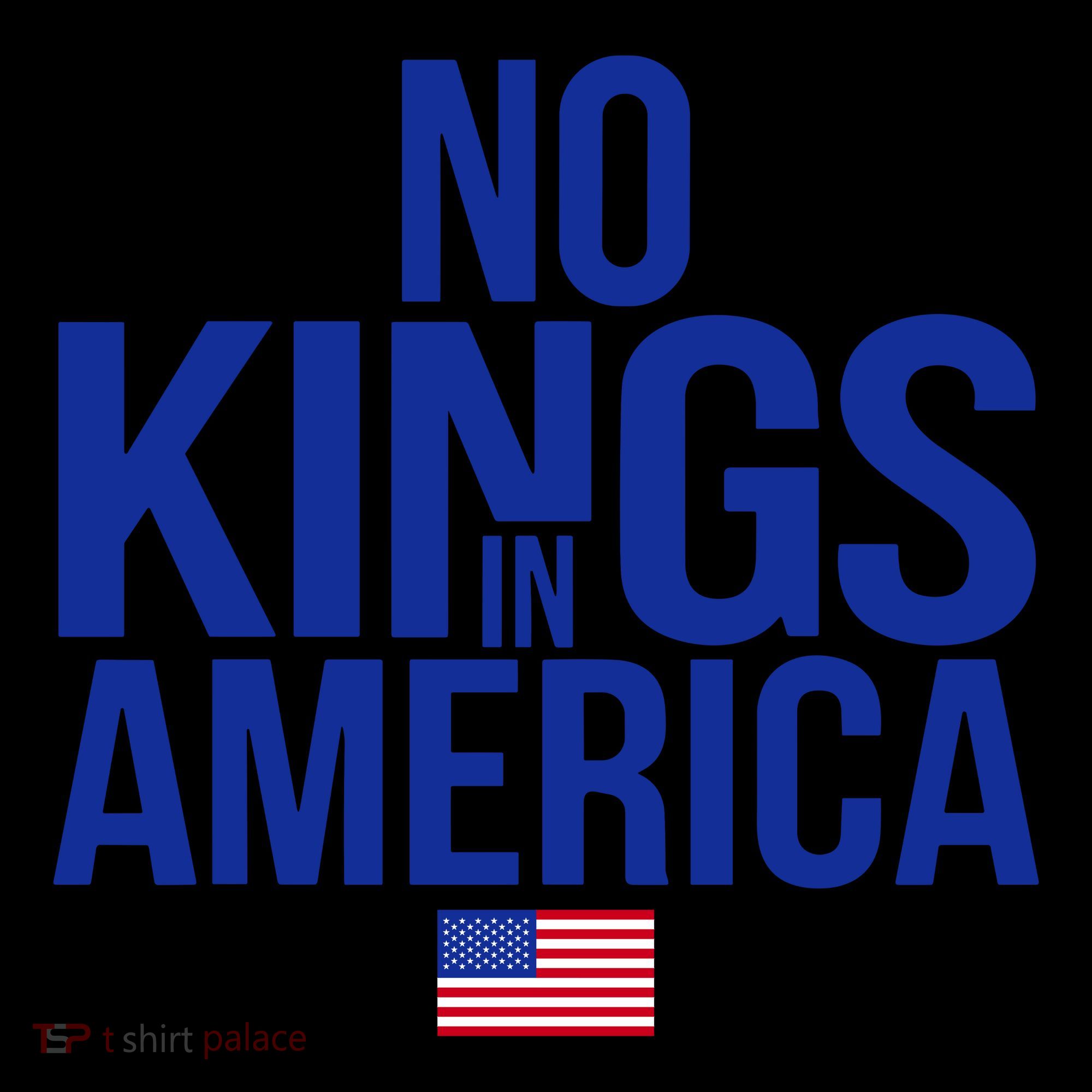 No Kings In America Kids Colorblock Raglan Jersey