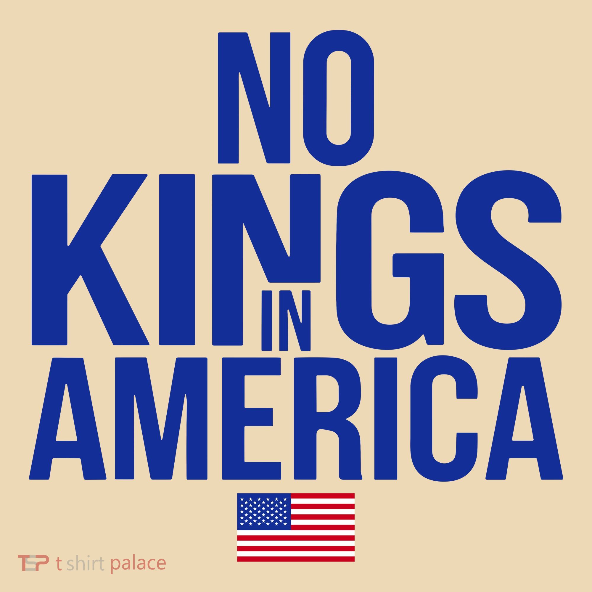 No Kings In America Tote Bag