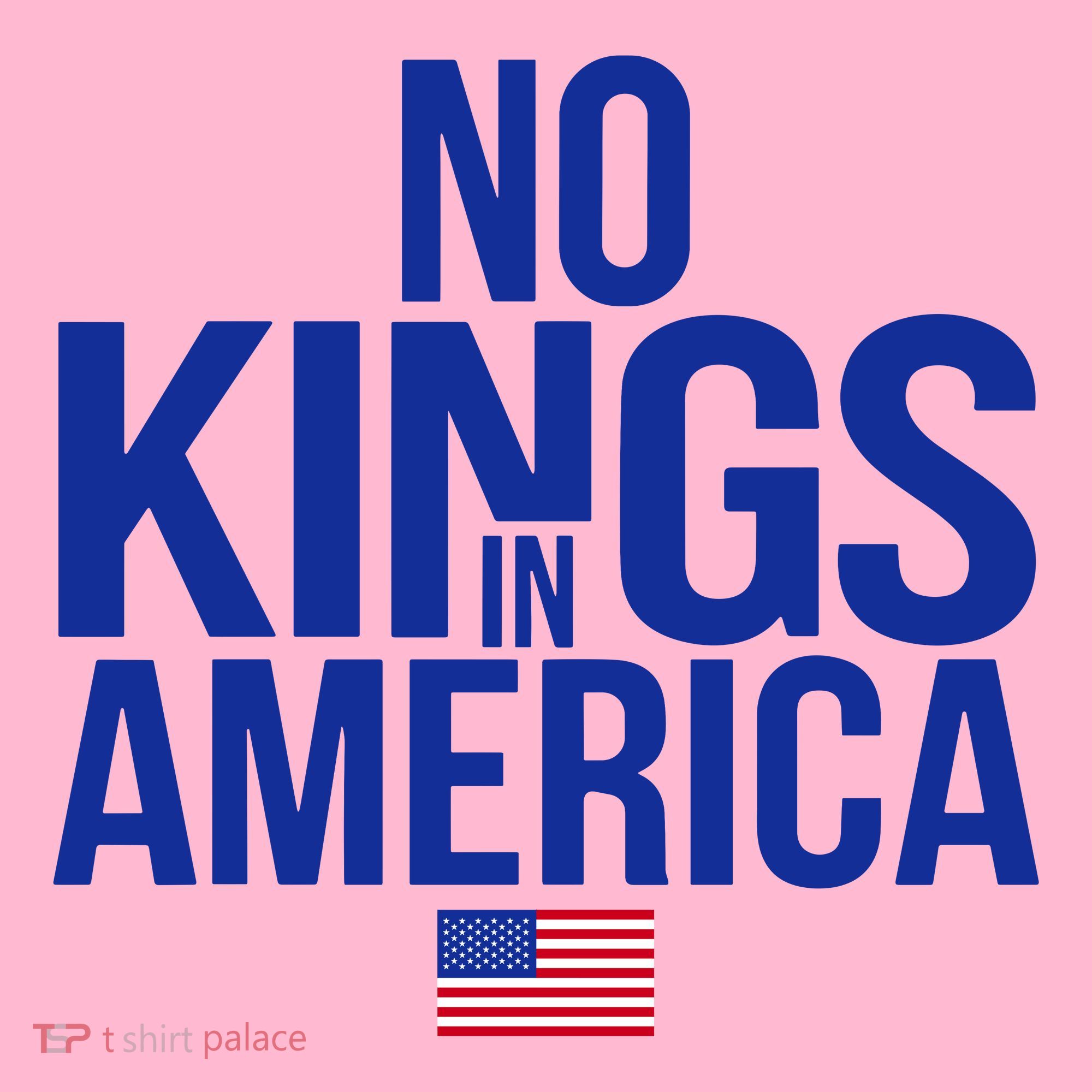No Kings In America Coaster