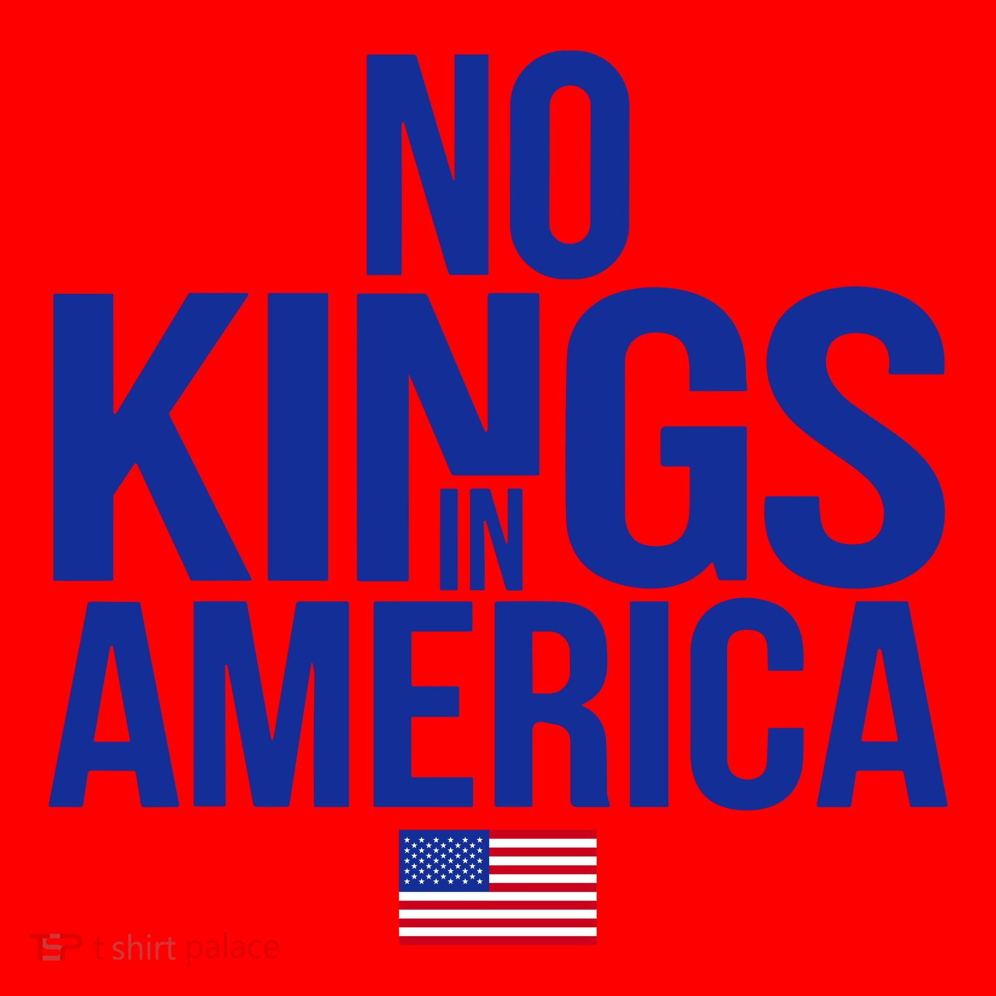 No Kings In America Santa Hat